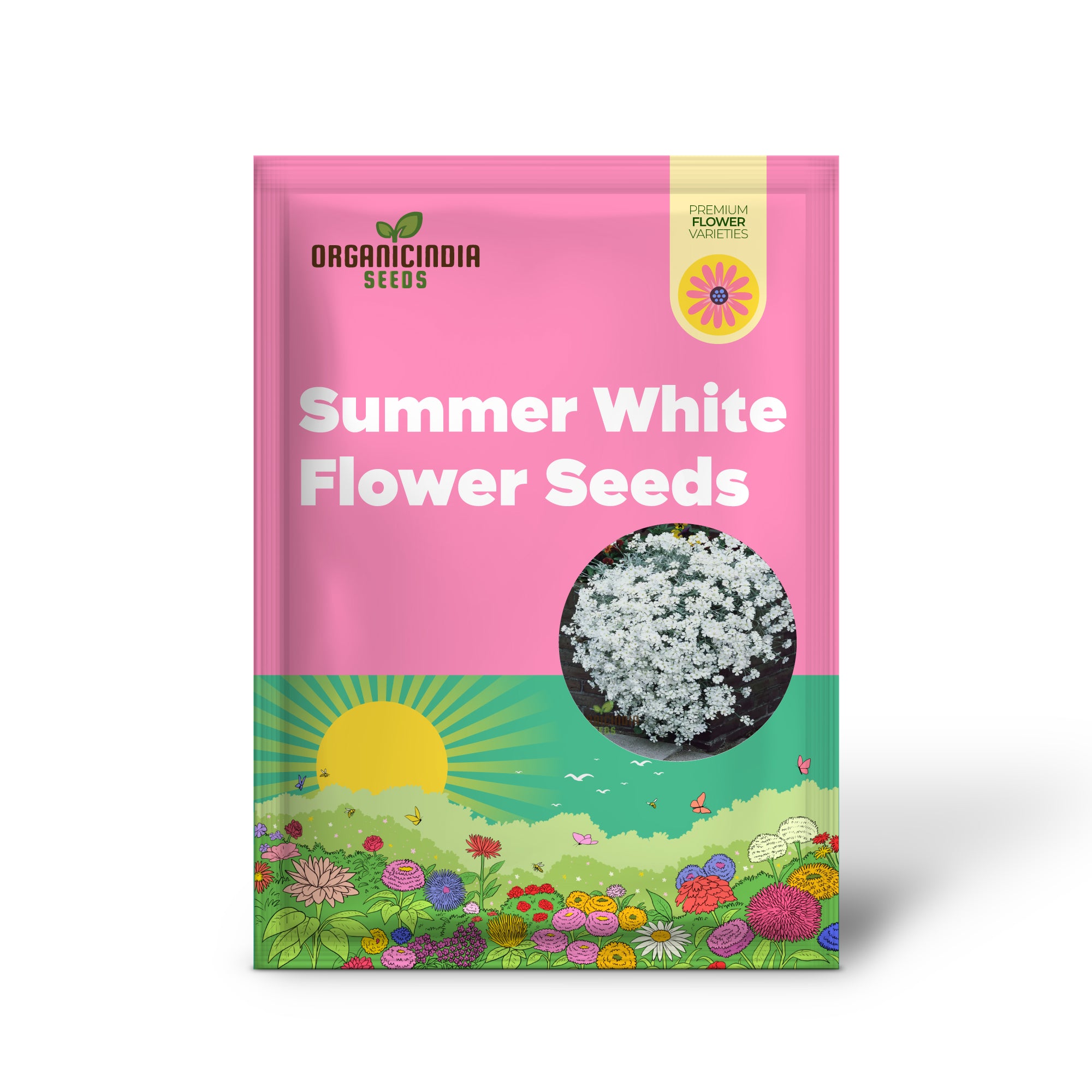 Snow in Summer White Flower Seeds , Elevate Your Gardening Experience with Delicate Blooms and Serene Beauty