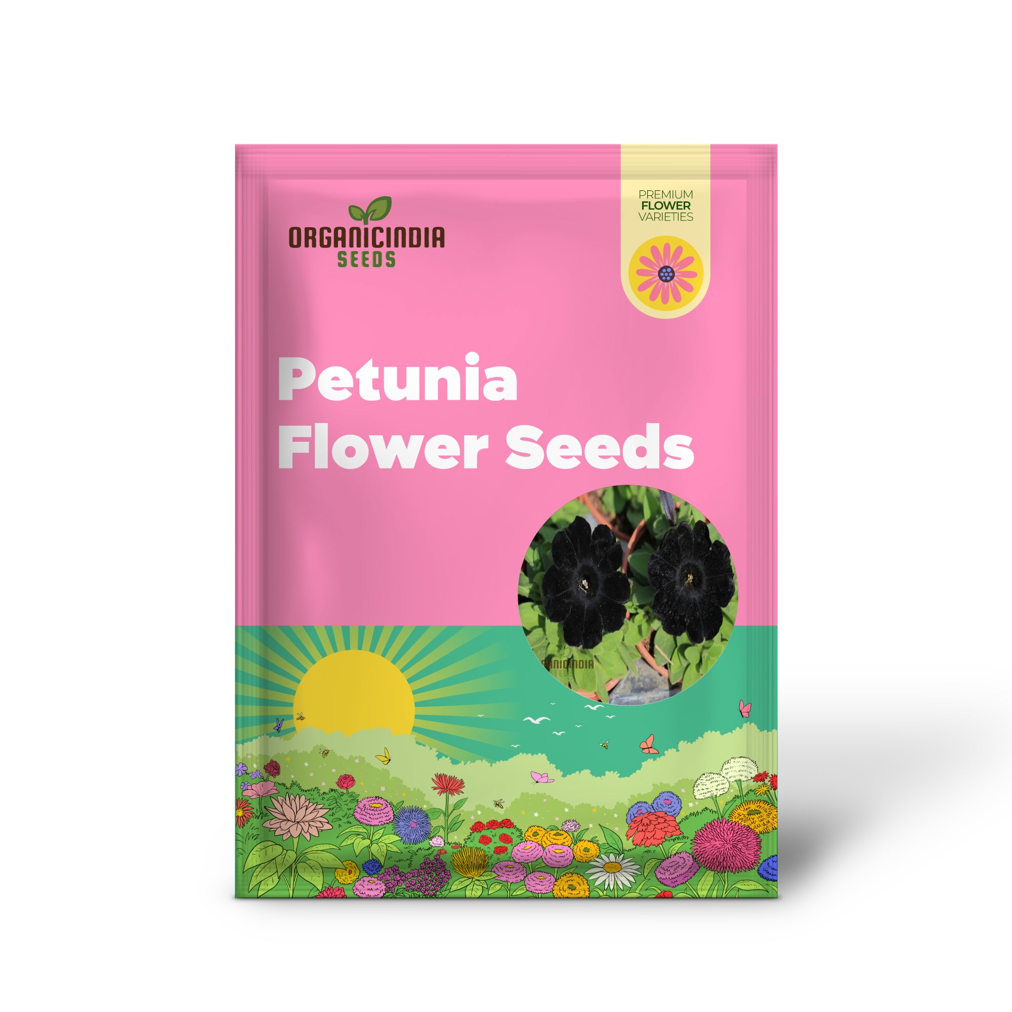 Black Petunia Flower Seeds - Dramatic Blooms for Bold Garden Statements