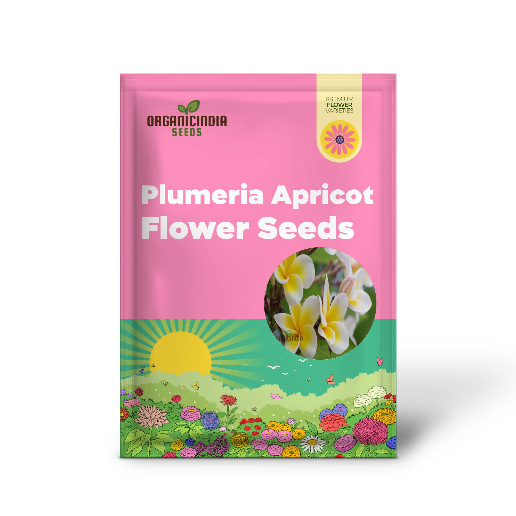 Exquisite Plumeria Apricot Flower Seeds for Your Bountiful Garden: Grow Your Own Floral Oasis with Premium Gardening Seeds