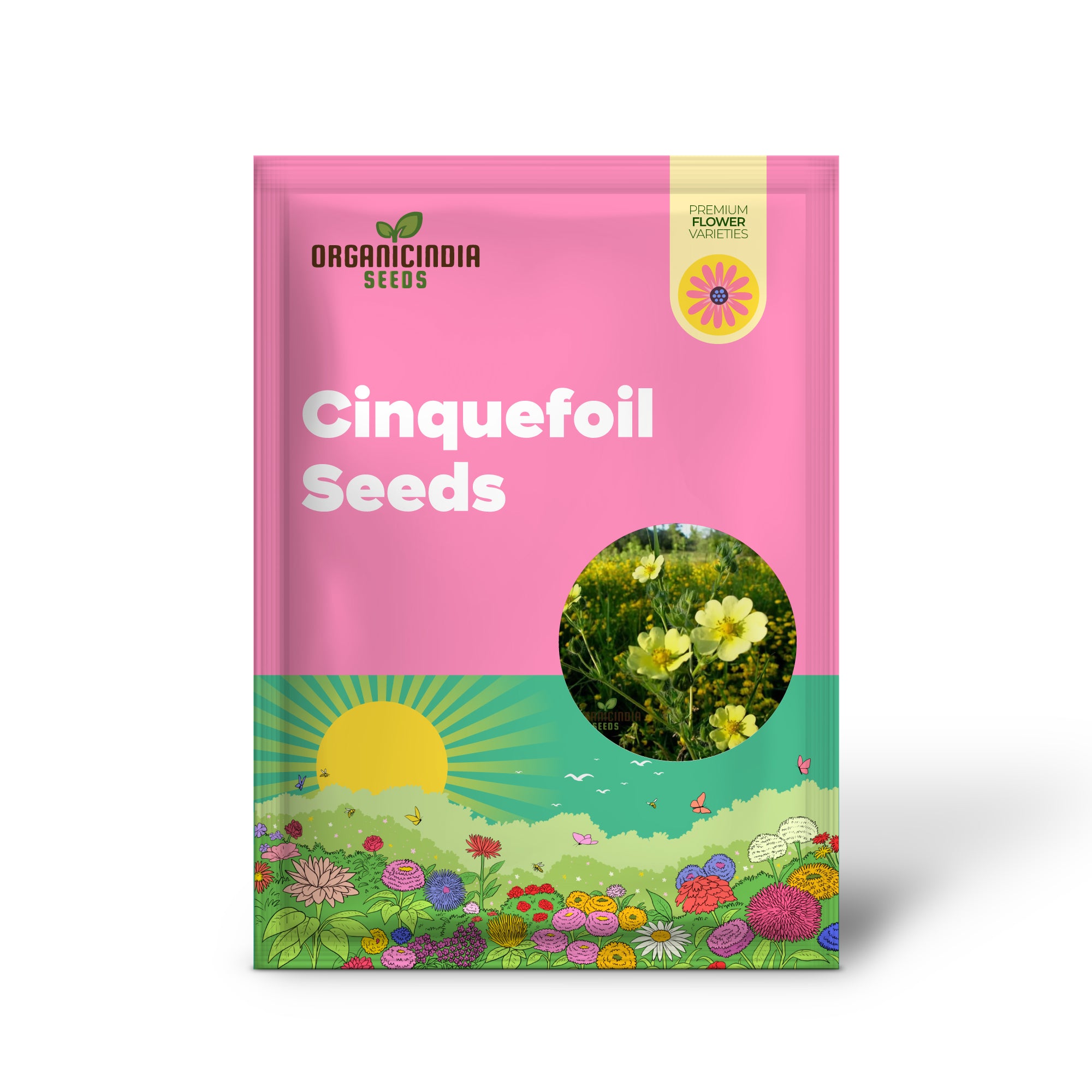 Yellow Cinquefoil Seeds ,Elevate Your Gardening Experience with Vibrant, Long-Lasting Blooms