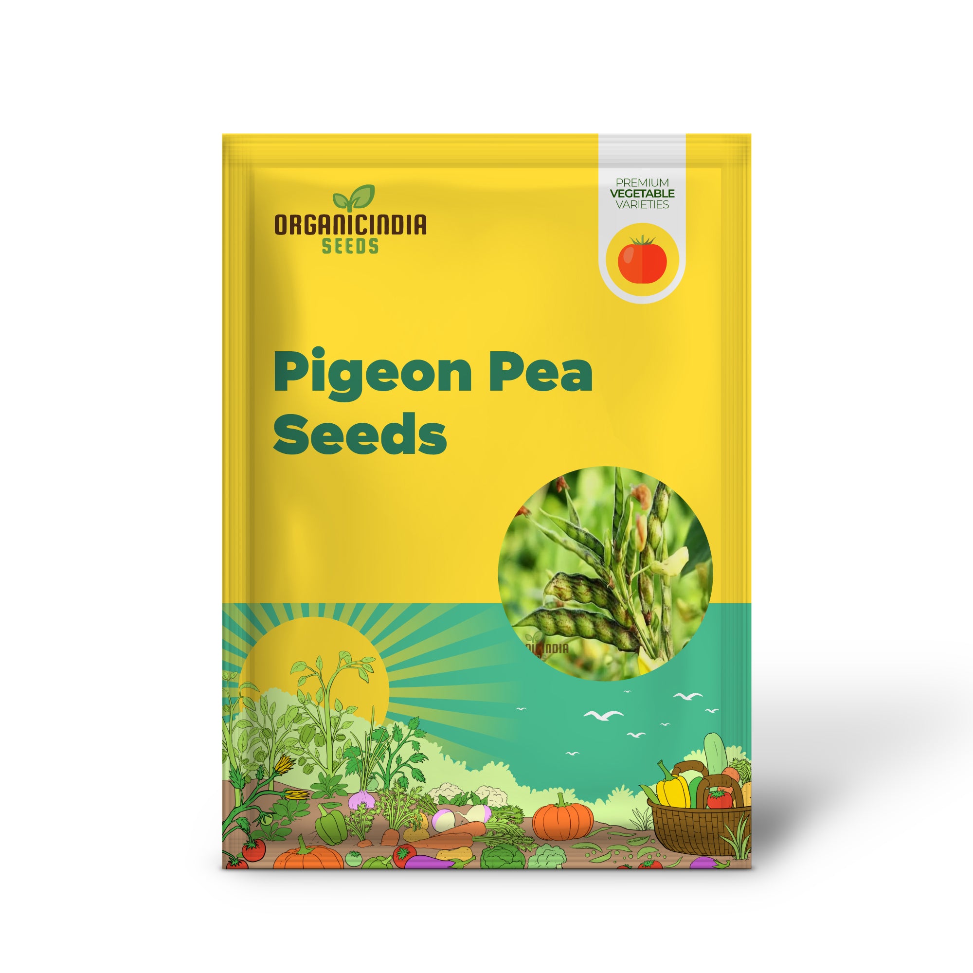 Pigeon Pea Vegetable Seeds - Nutritious Legumes for Your Garden Harvest