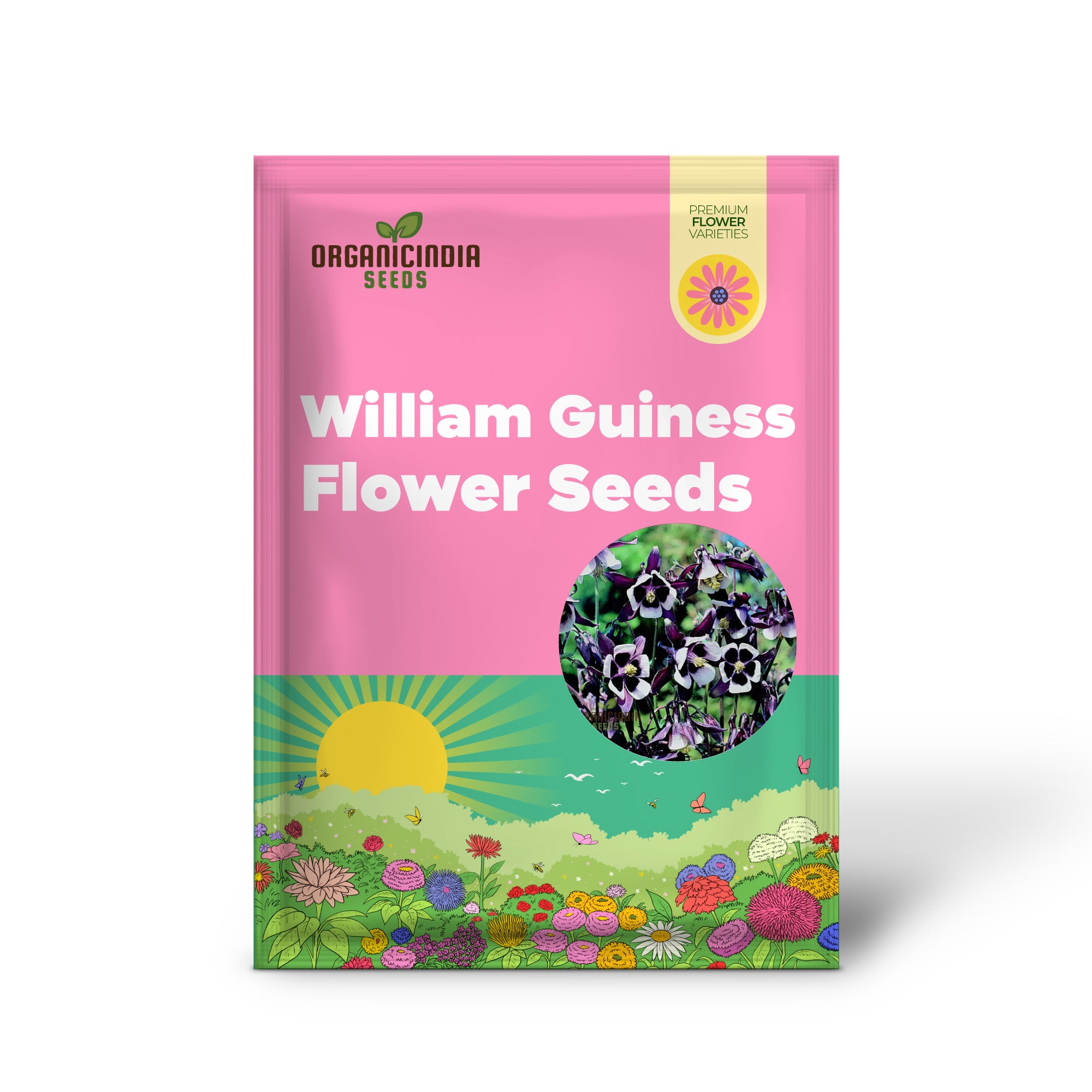 Purple White William Guiness Flower Seeds, Stunning and Unique Garden, Striking Bi-Color Blooms