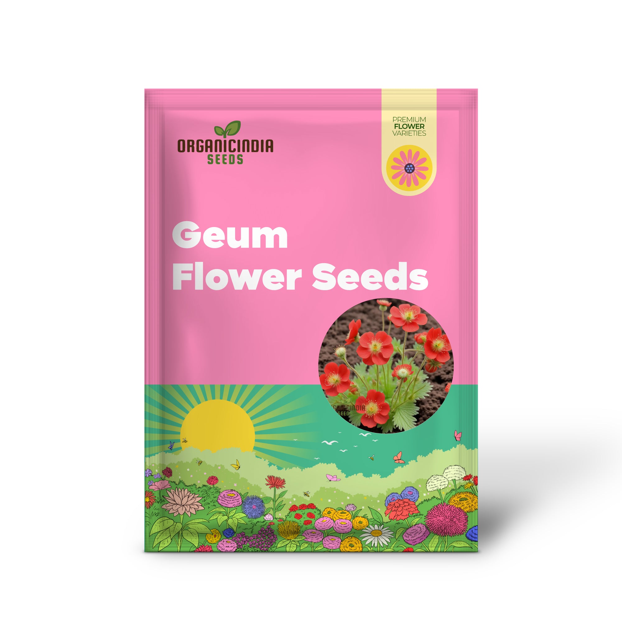 Graines de fleurs de Geum rouge – Fleurs vibrantes pour des décorations de jardin accrocheuses