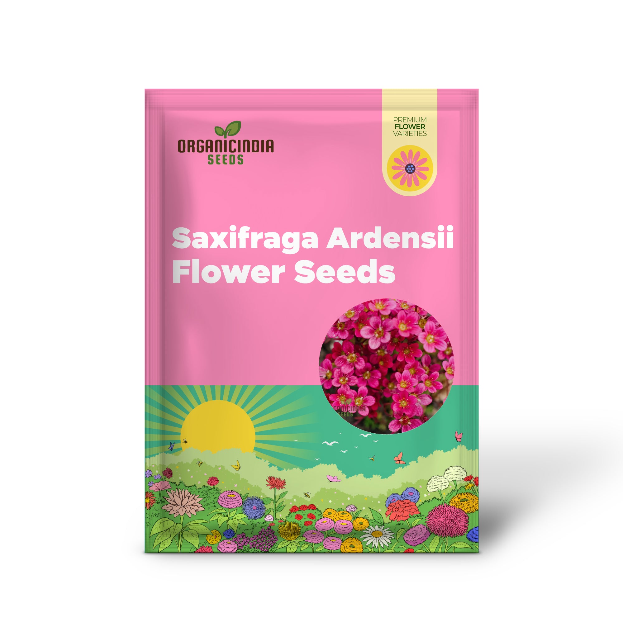 Guide ultime pour planter des graines de fleurs de Saxifraga Ardensii, conseils de jardinage d'experts pour une couverture végétale vibrante