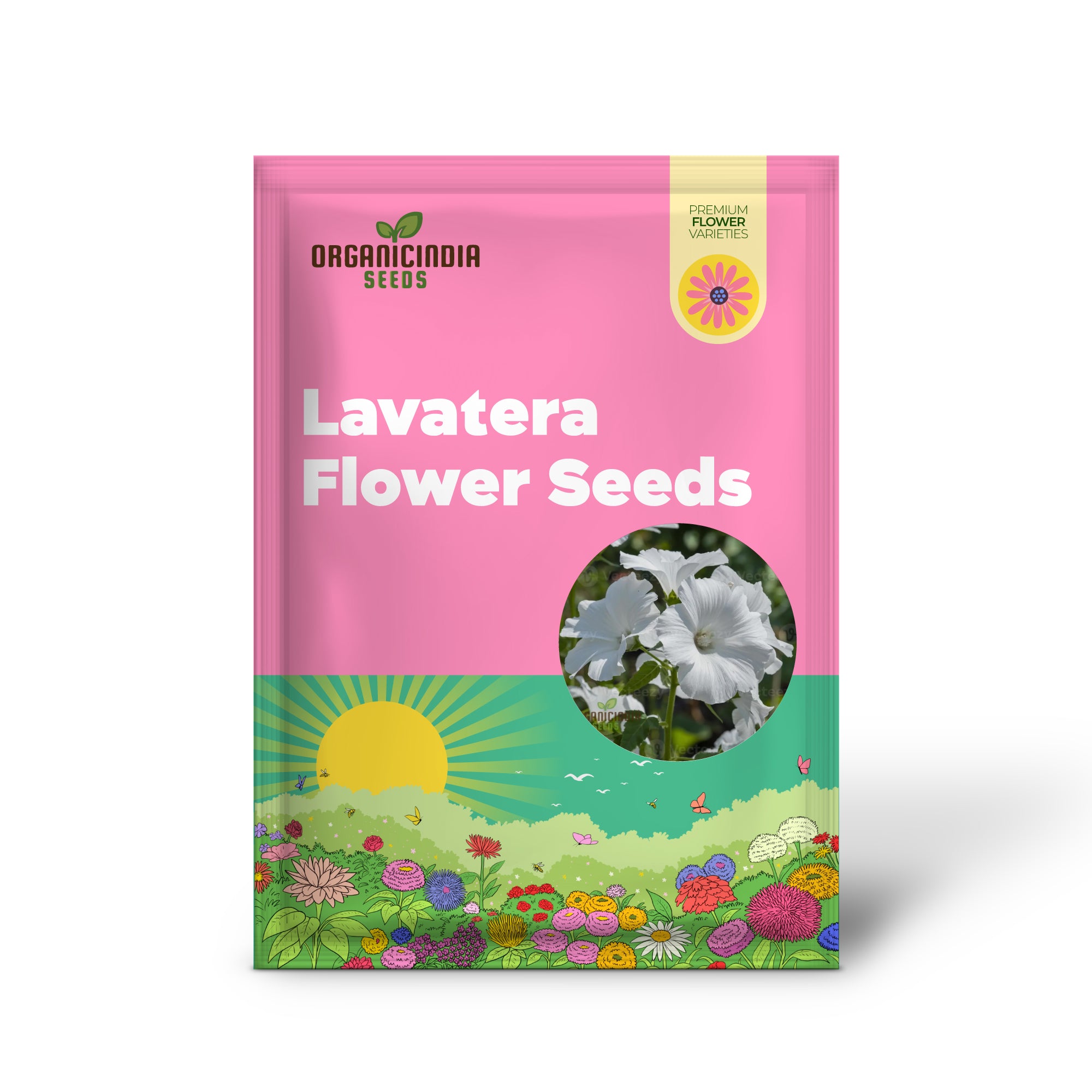 White Lavatera Flower Seeds for planting Elevate Your Gardening Experience with Graceful, Stunning Blooms