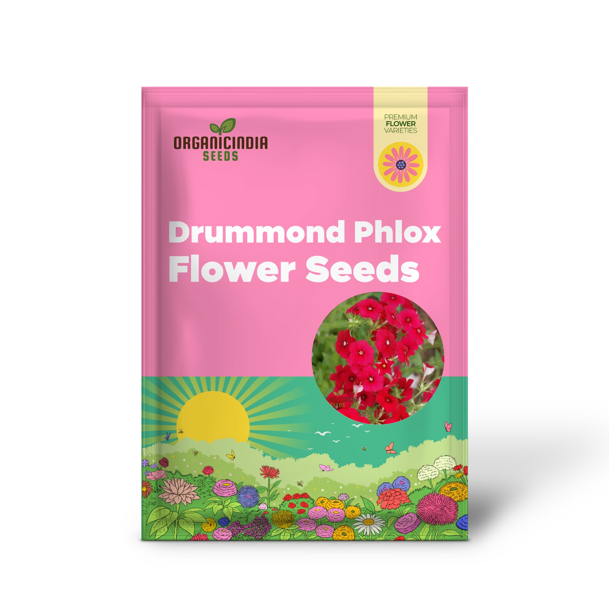 Red Drummond Phlox Flower Seeds - Brilliant Blooms for Vibrant Garden Borders