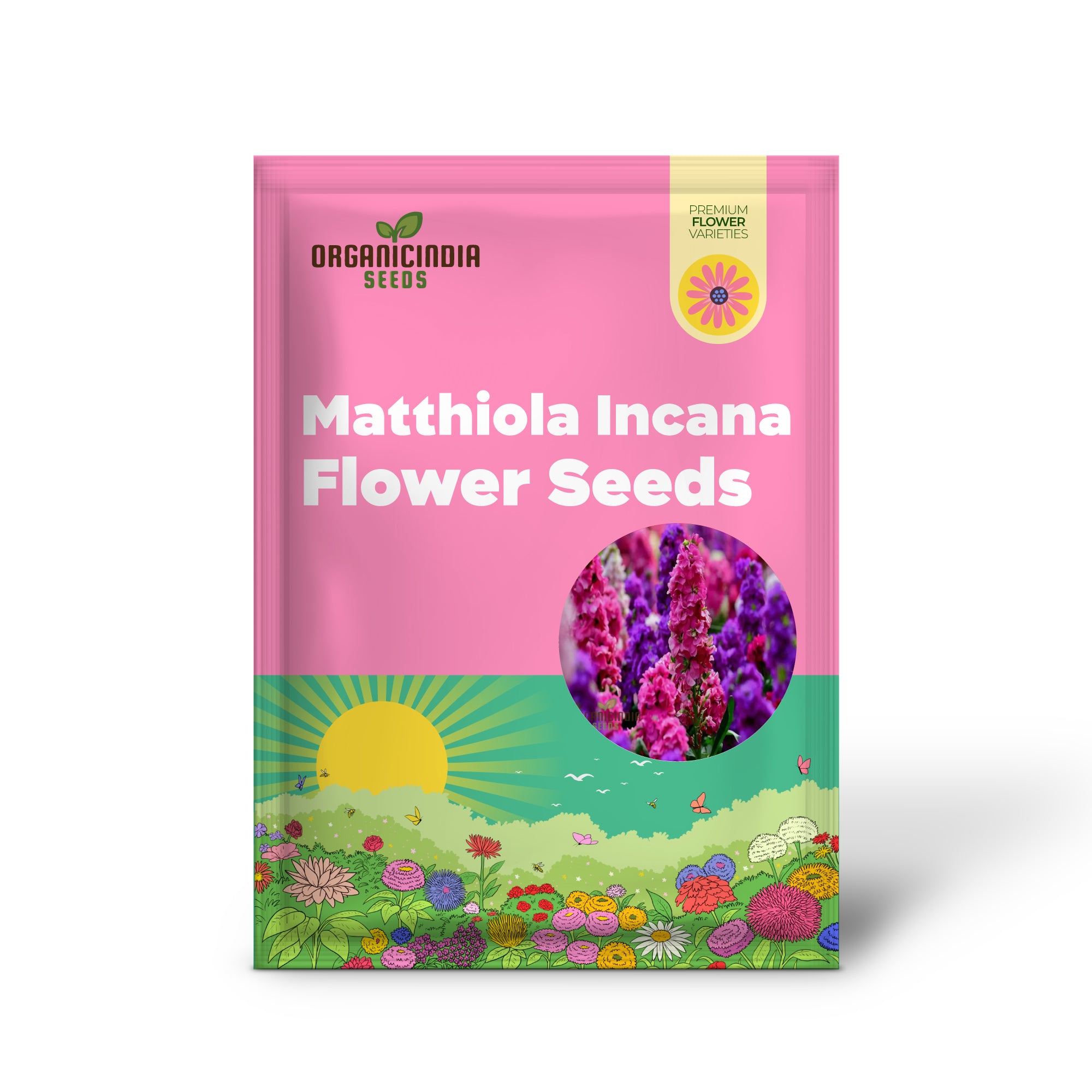 Matthiola Incana Flower Seeds - Fragrant Blooms for Charming Garden Borders