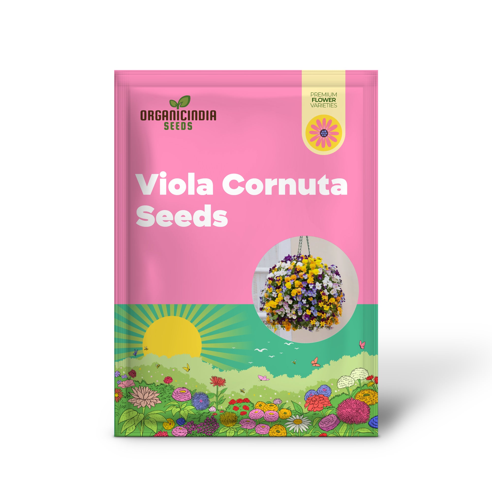 Vibrant Large Flower Mix Viola Cornuta Seeds pour la plantation, graines de fleurs parfaites pour un jardinage époustouflant et des affichages colorés