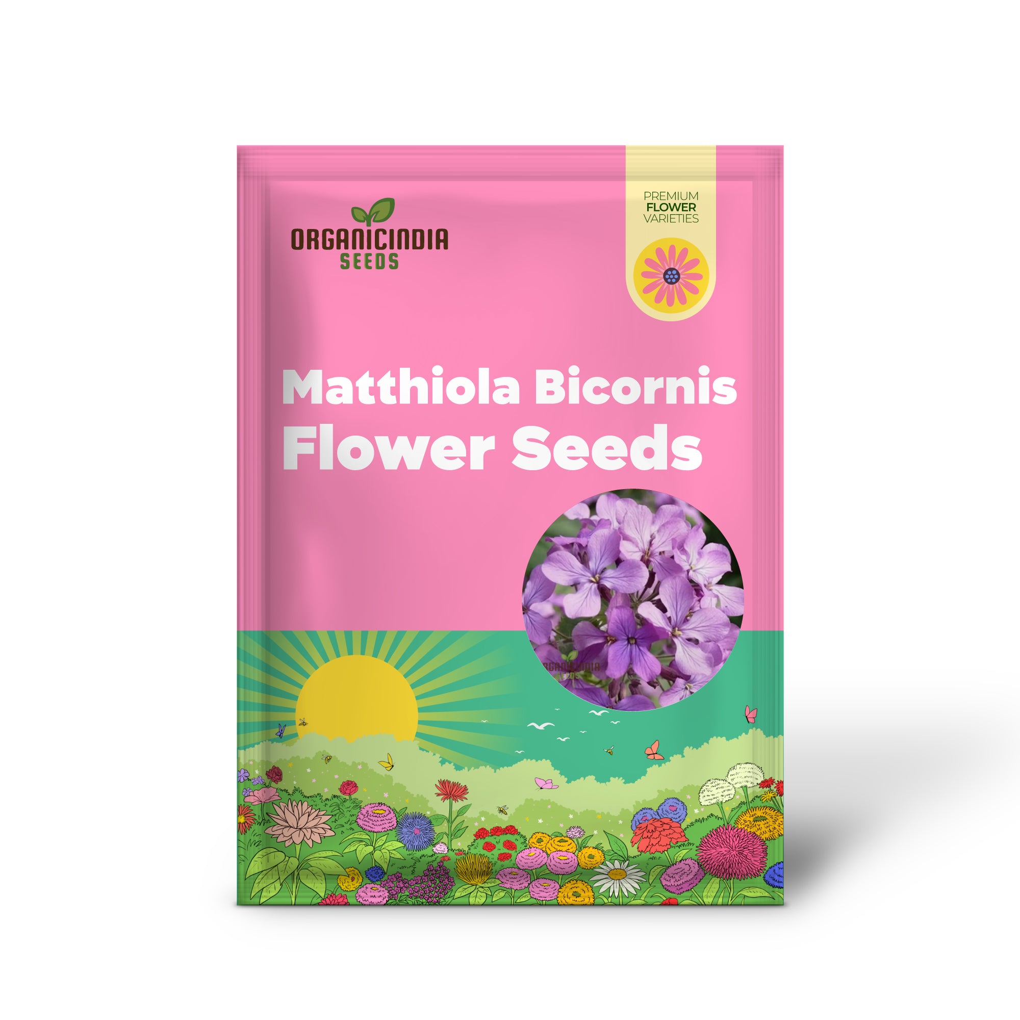 Fragrant Matthiola Bicornis Flower Seeds for Planting, Ideal Flower Seeds for Lush Gardening and Evening Blooms