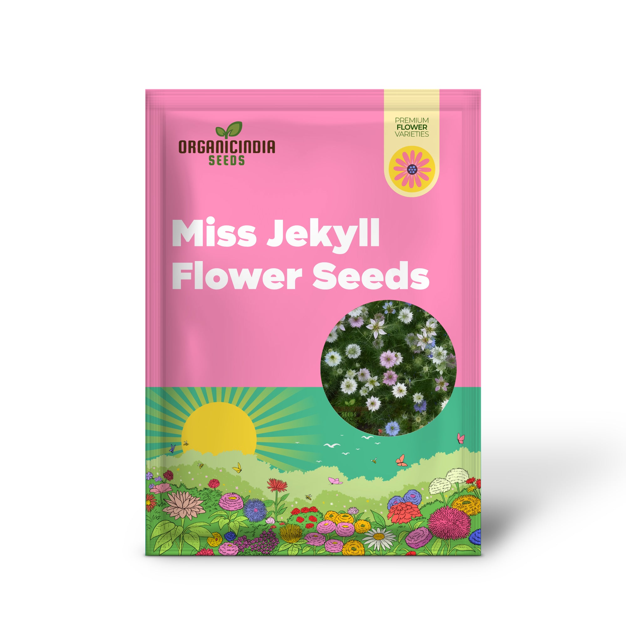 Nigella Love in A Mist Miss Jekyll Mix Flower Seeds, Vibrant Garden Blooms for Colorful Landscapes