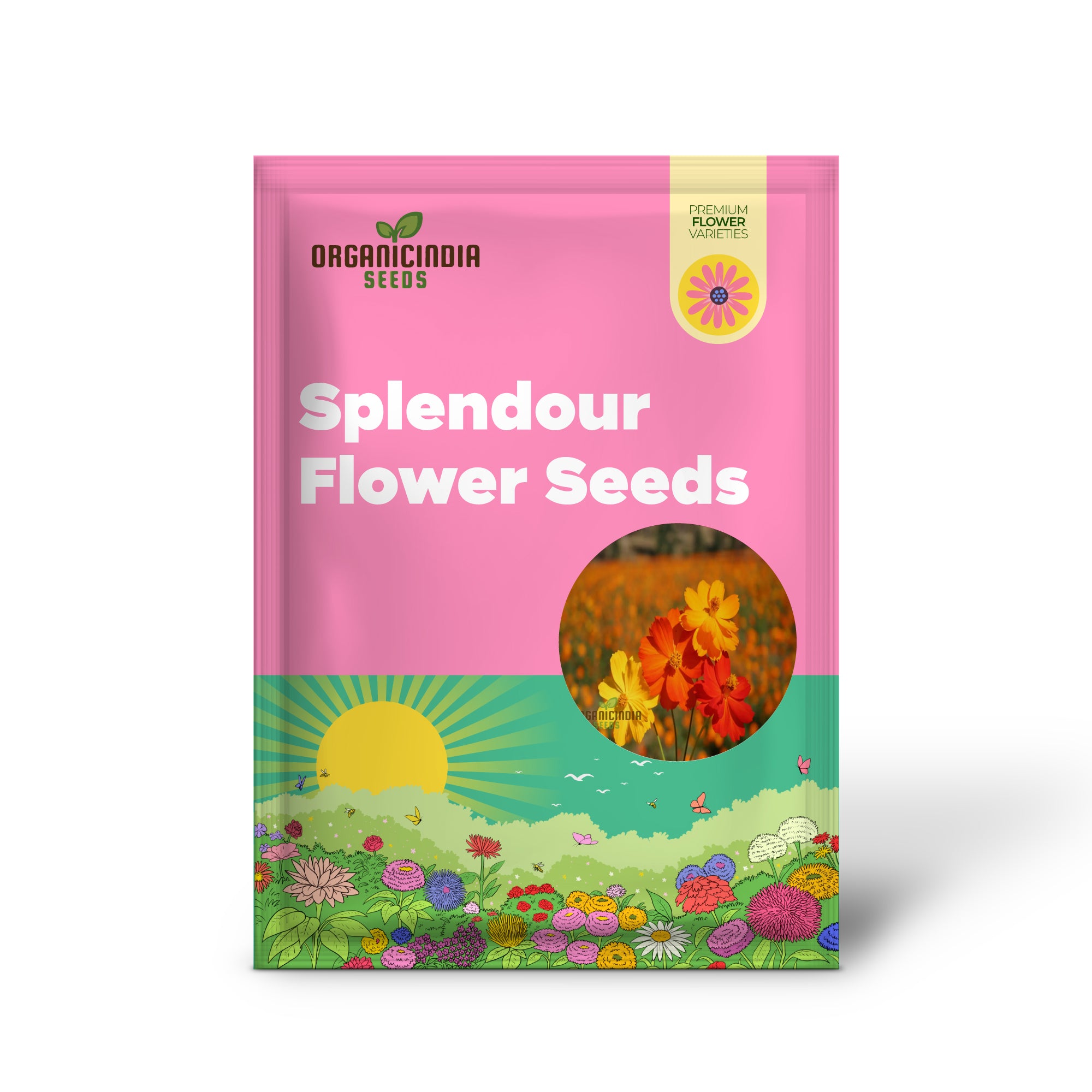 Planting and Gardening with Cosmos Bright Lights Mix Flower Seeds, A Complete Guide to Growing These Vibrant Flower Seeds