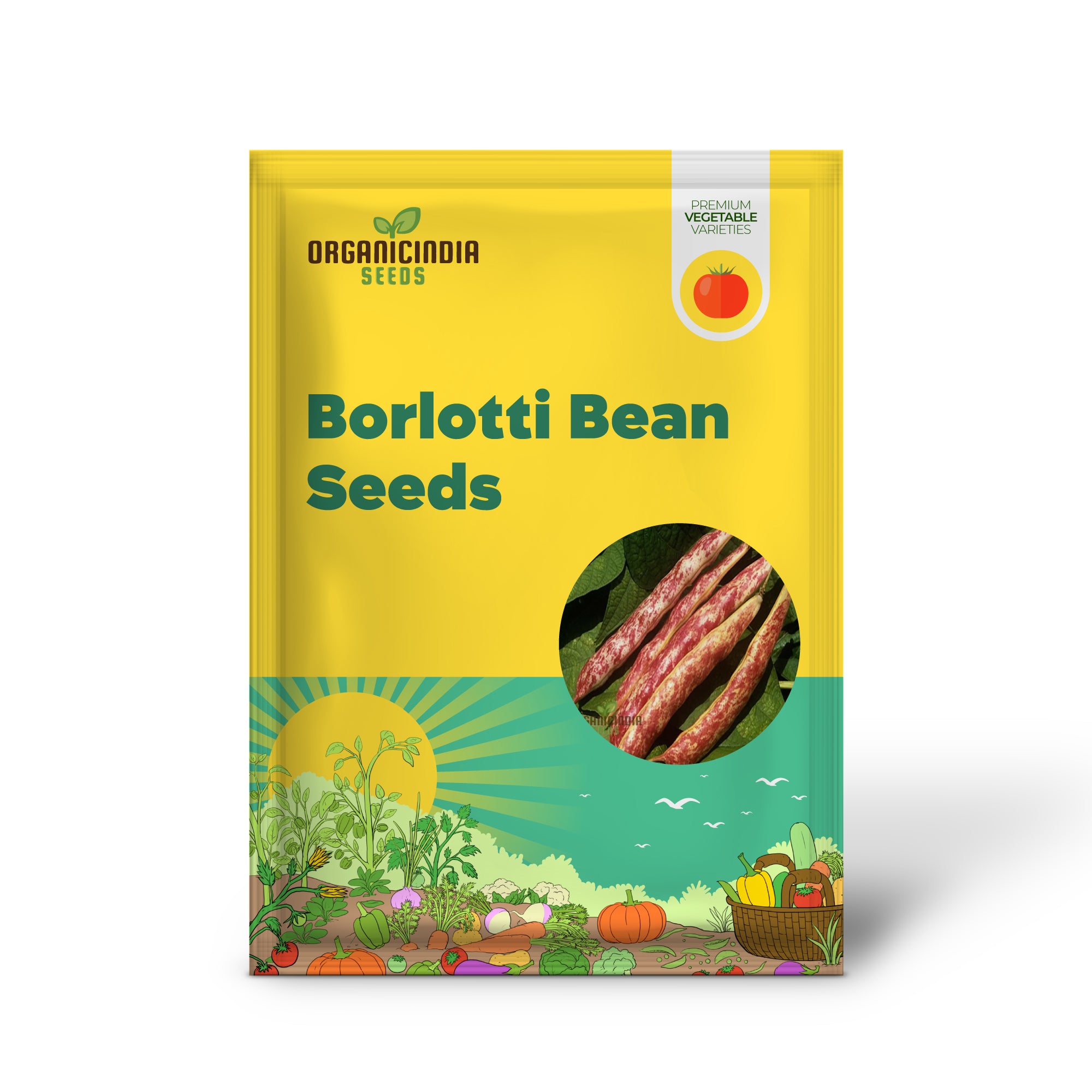 Planting and Gardening with Borlotti Bean Seeds, An In-Depth Guide to Growing This Versatile Vegetable Planting Seeds