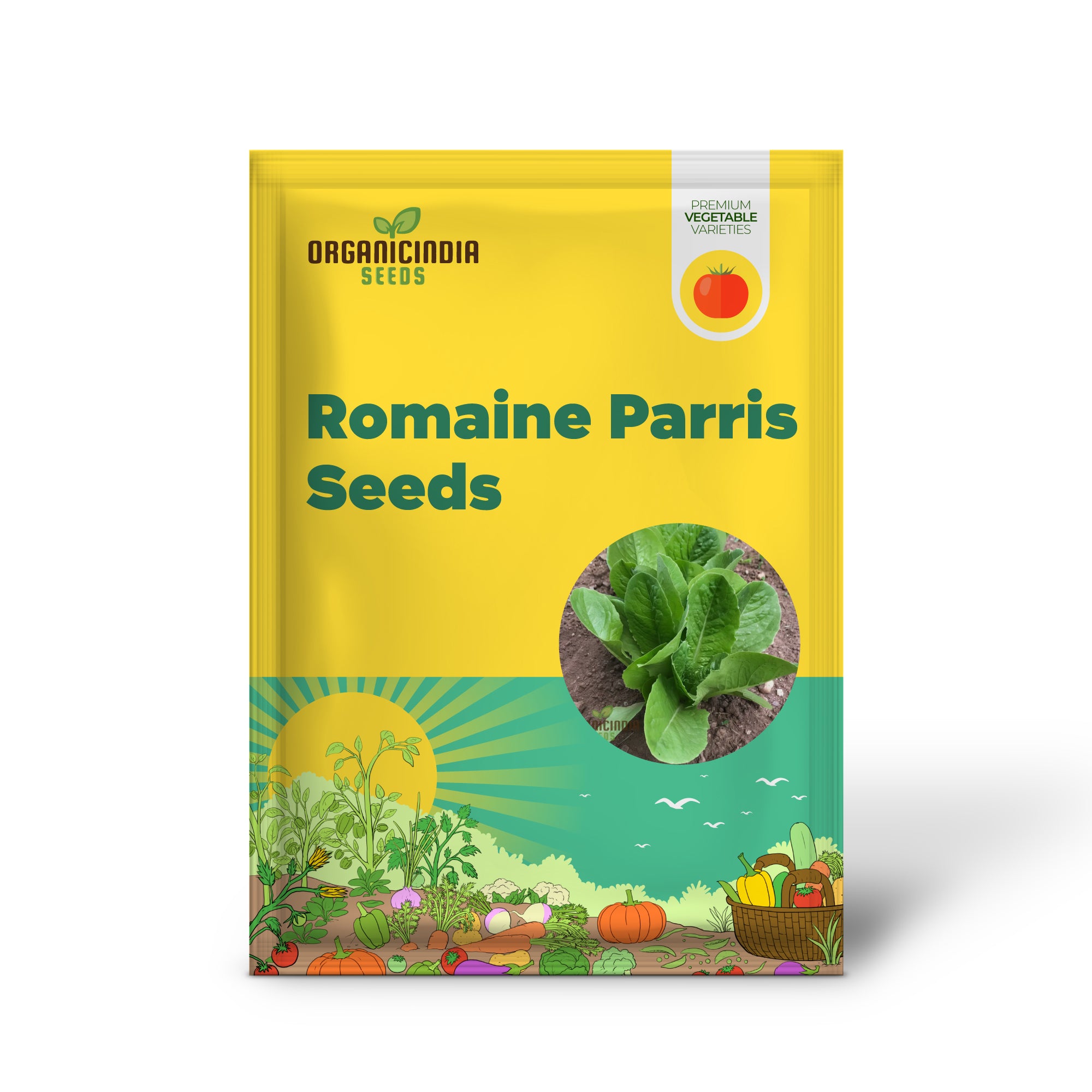 Organic Romaine Parris Island COS Vegetable Seeds - Crisp, Nutritious, Heirloom Variety for Home Gardening