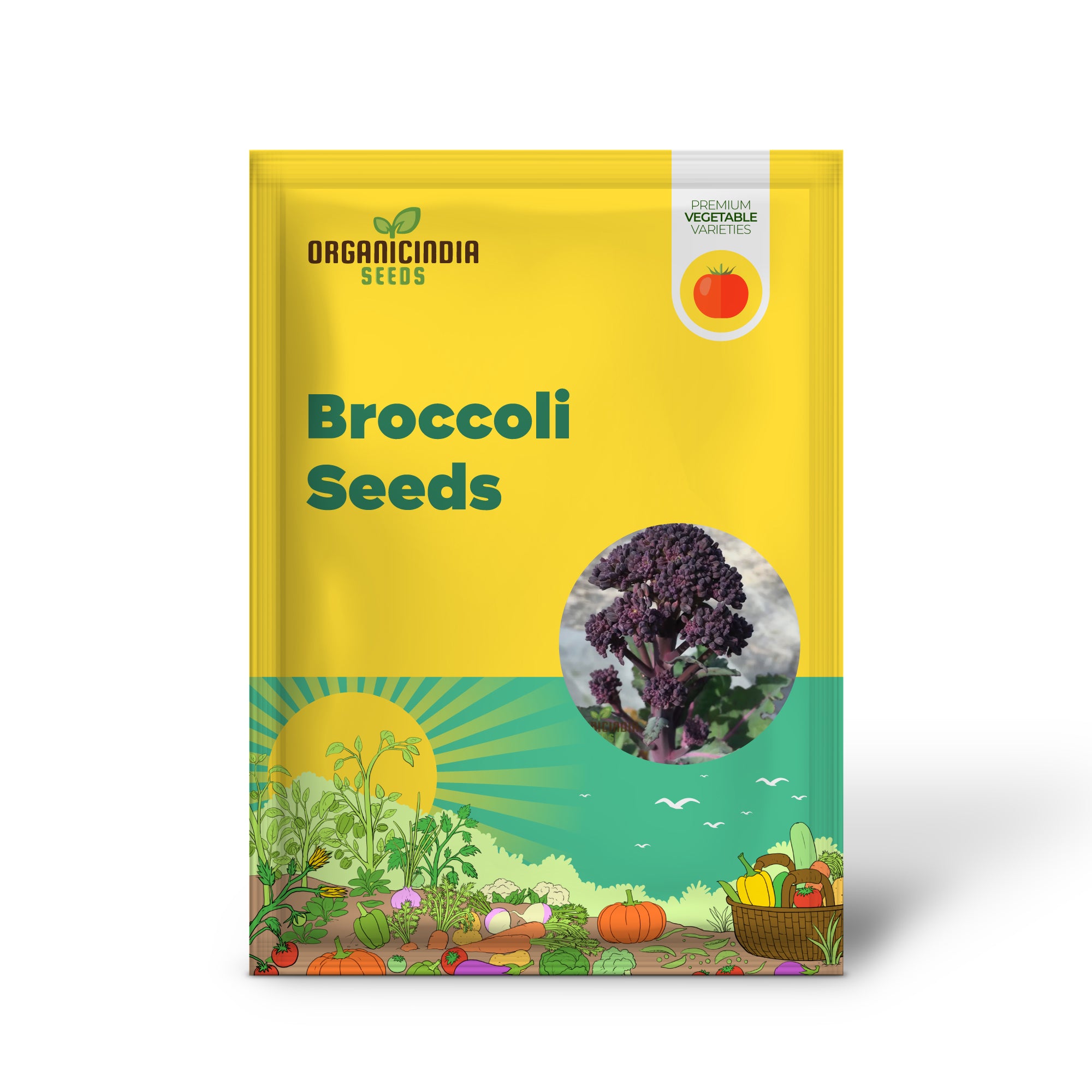 Planting and Gardening with Purple Broccoli Vegetable Seeds, A Comprehensive Guide to Growing This Nutritious Vegetable