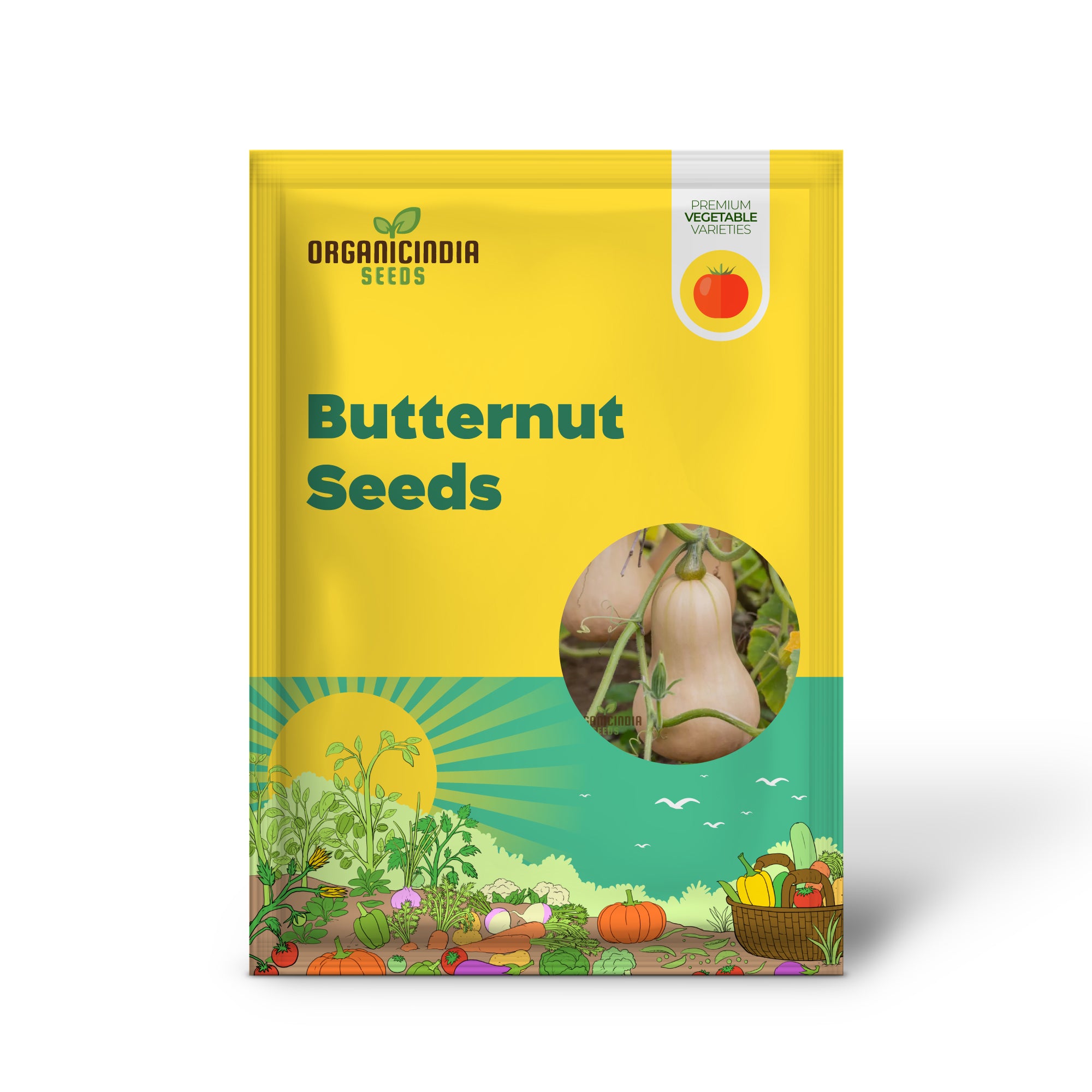 Premium Butternut Hunter F1 Vegetable Seeds, High Yield, Perfect for Home Gardens