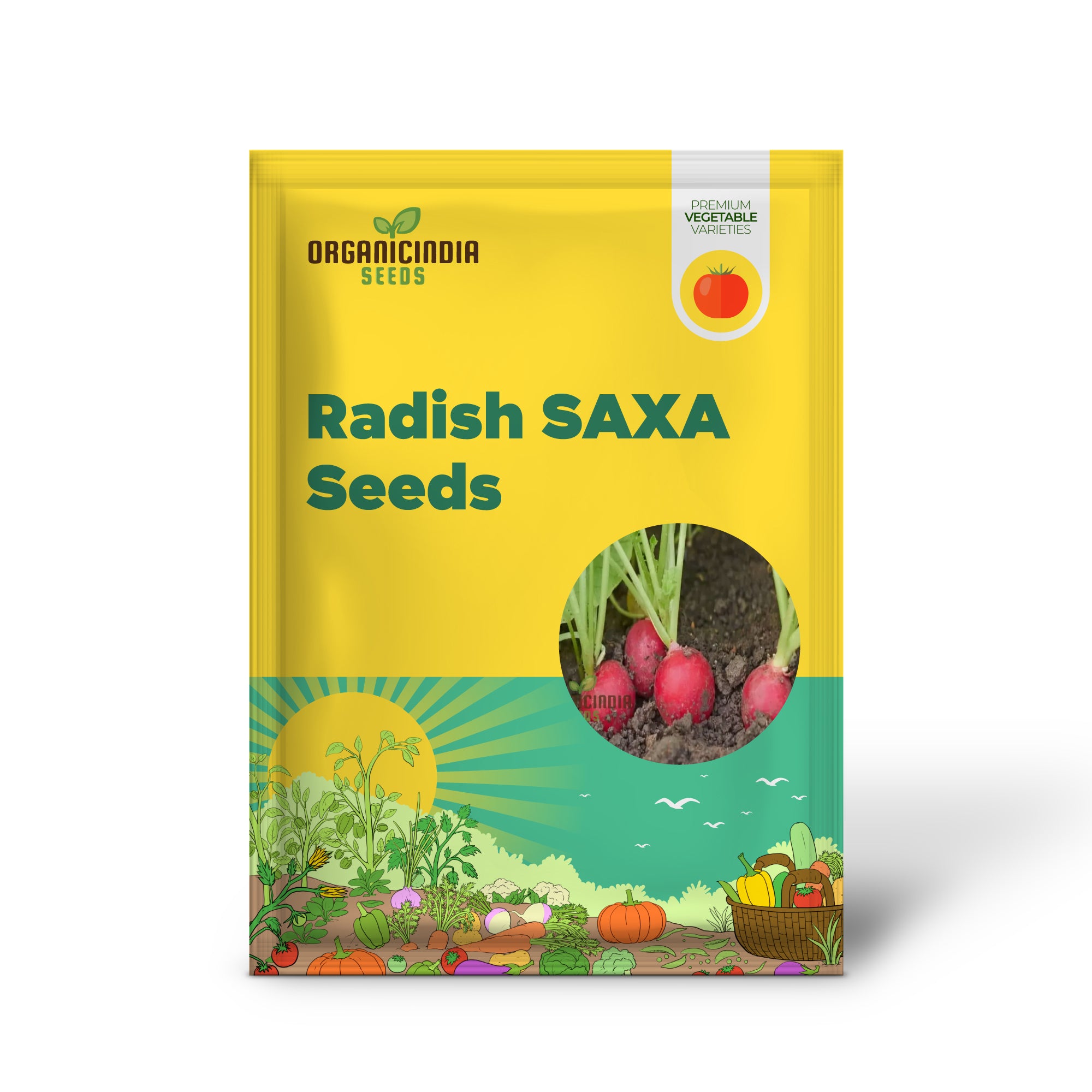 Radish SAXA 2 Vegetable Seeds, High-Quality Vegetable Seeds, Fast Growing, Heirloom Variety, Ideal for Home Gardens