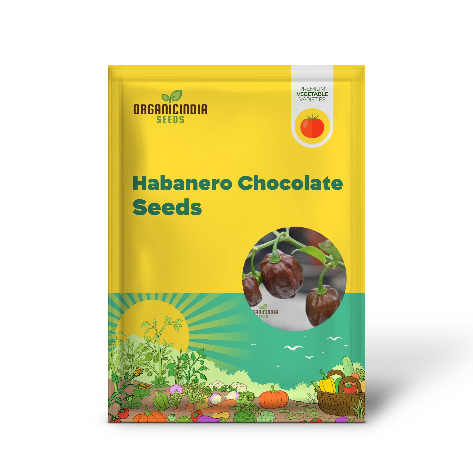 Scharfe Chilischote „Habanero Chocolate“, eine detaillierte Anleitung zum Pflanzen und Züchten feuriger Habanero-Gemüsesamen