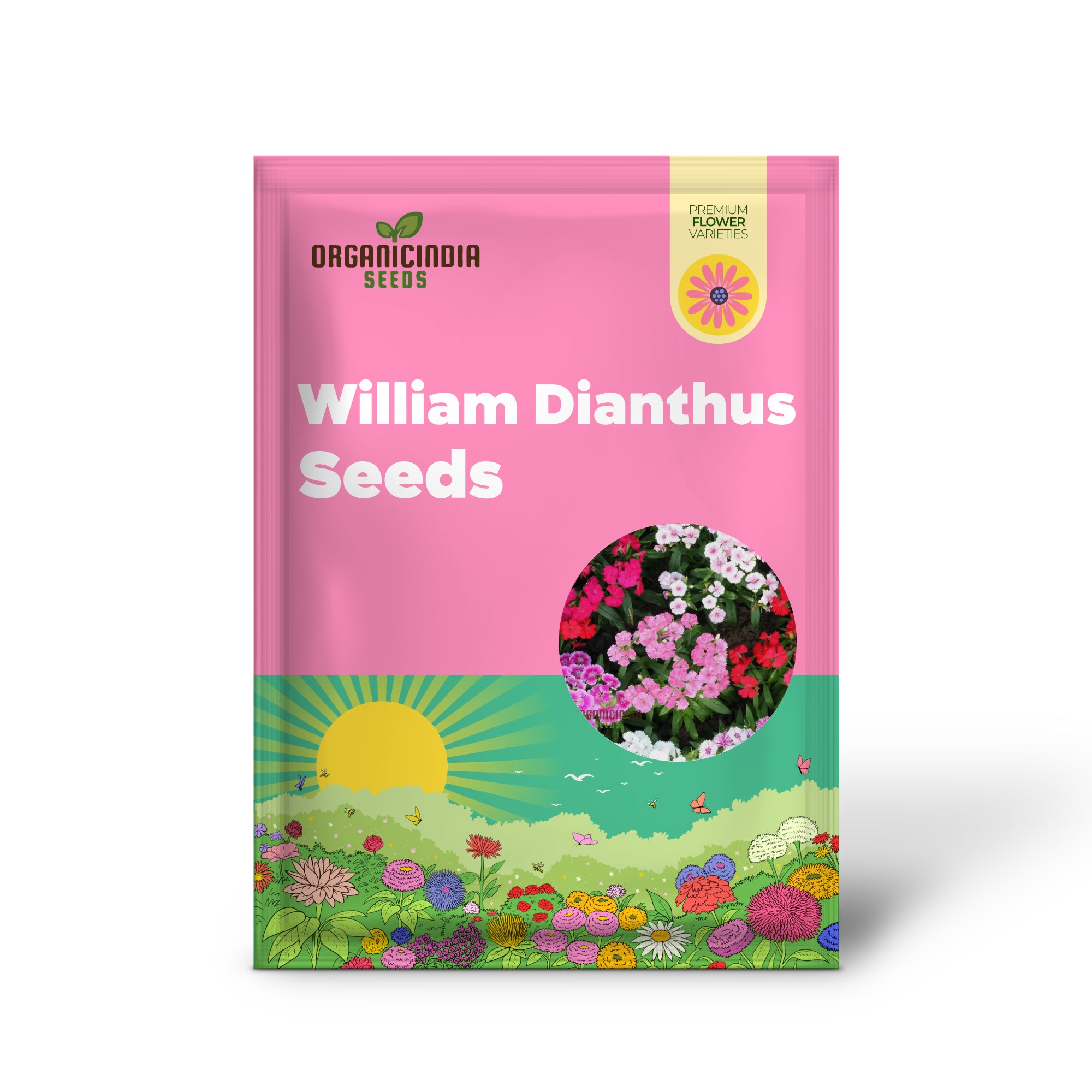 Summertime Bliss: Sweet William Mix for Sunny Days