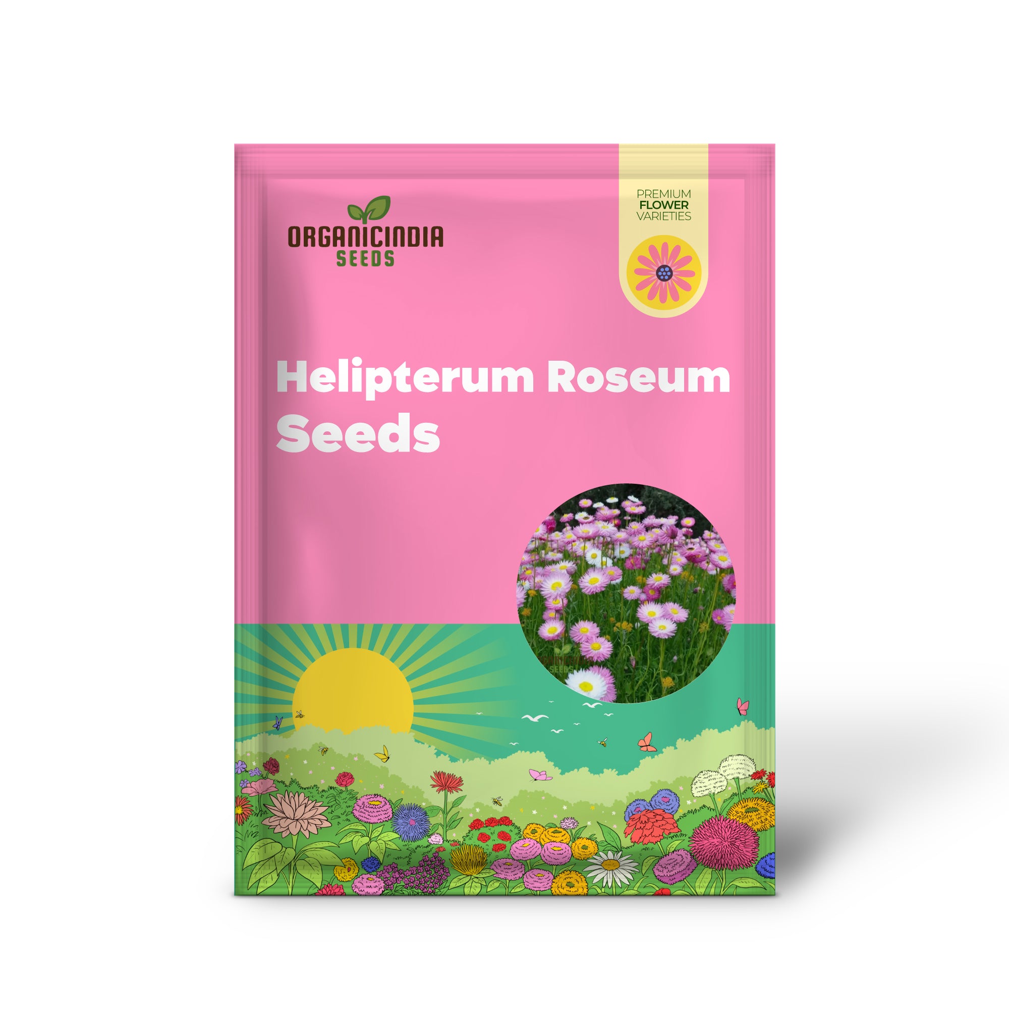 Helipterum Roseum: Giant Flower Mix Seeds - Bloom Beautifully with Our Premium Collection!