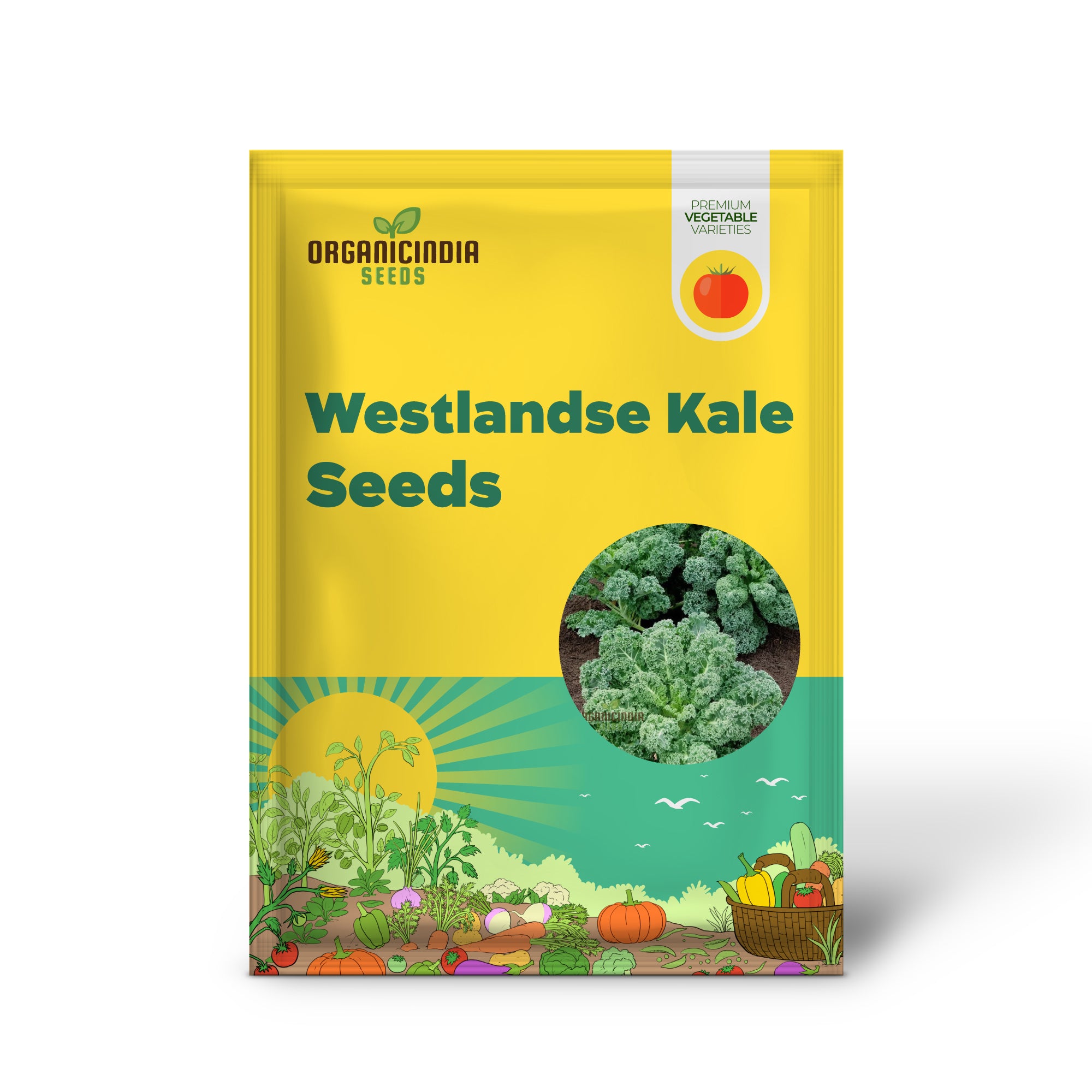 Westlandse Kale Vegetable Seeds, Heirloom, Nutritious, and Hardy Greens for Your Garden