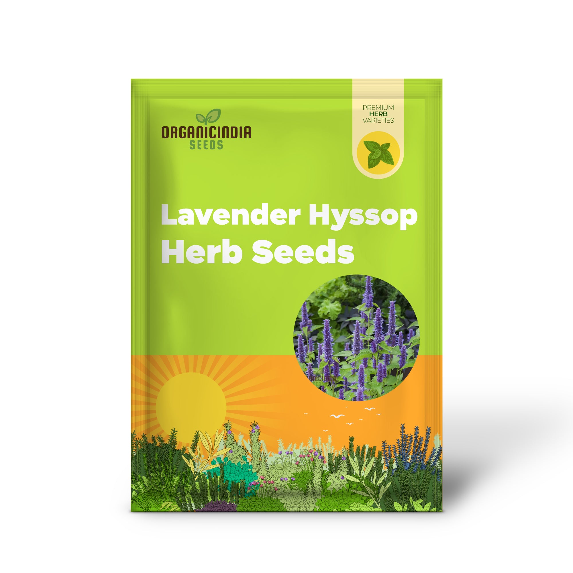 Organic Lavender Hyssop Herb Seeds, Aromatic, Medicinal, Bee-Friendly Garden Essential