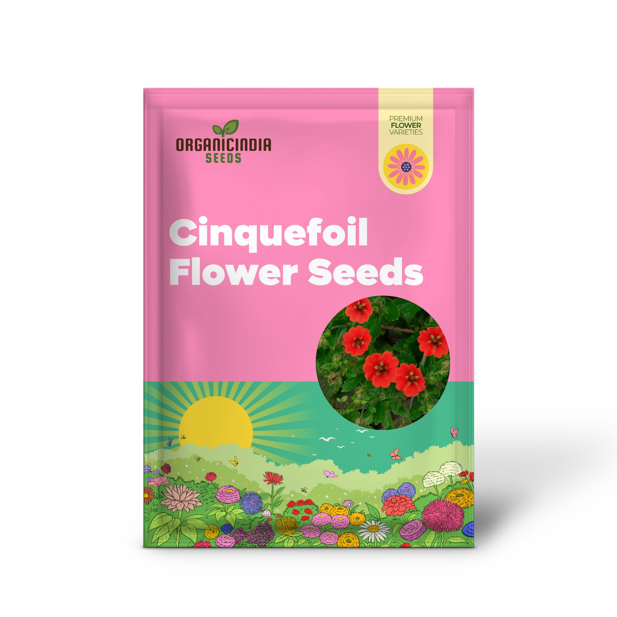 Red Cinquefoil Beautiful Flowers Seeds | Premium Flower Seeds for Planting & Gardening Delights