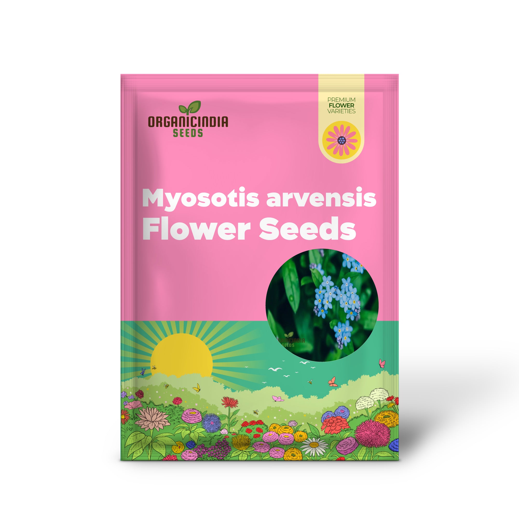 Myosotis arvensis (Field Forget-Me-Not) - Myosotis Flower Seeds for Planting,Semi Deep Blue Blooms for Summer & Autumn Gardening in Containers