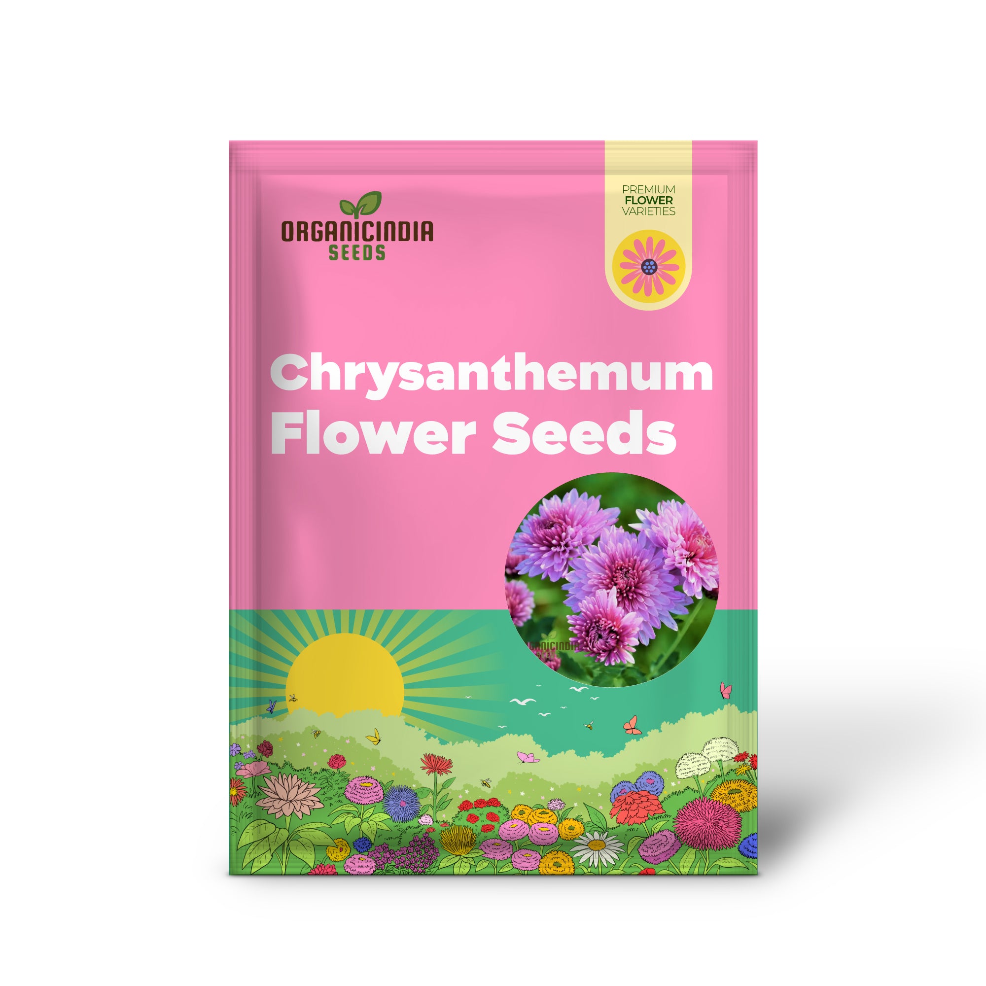 Premium Pink Chrysanthemum Flower Seeds: Grow Your Garden with Vibrant Blooms - Exceptional Quality Gardening Seeds