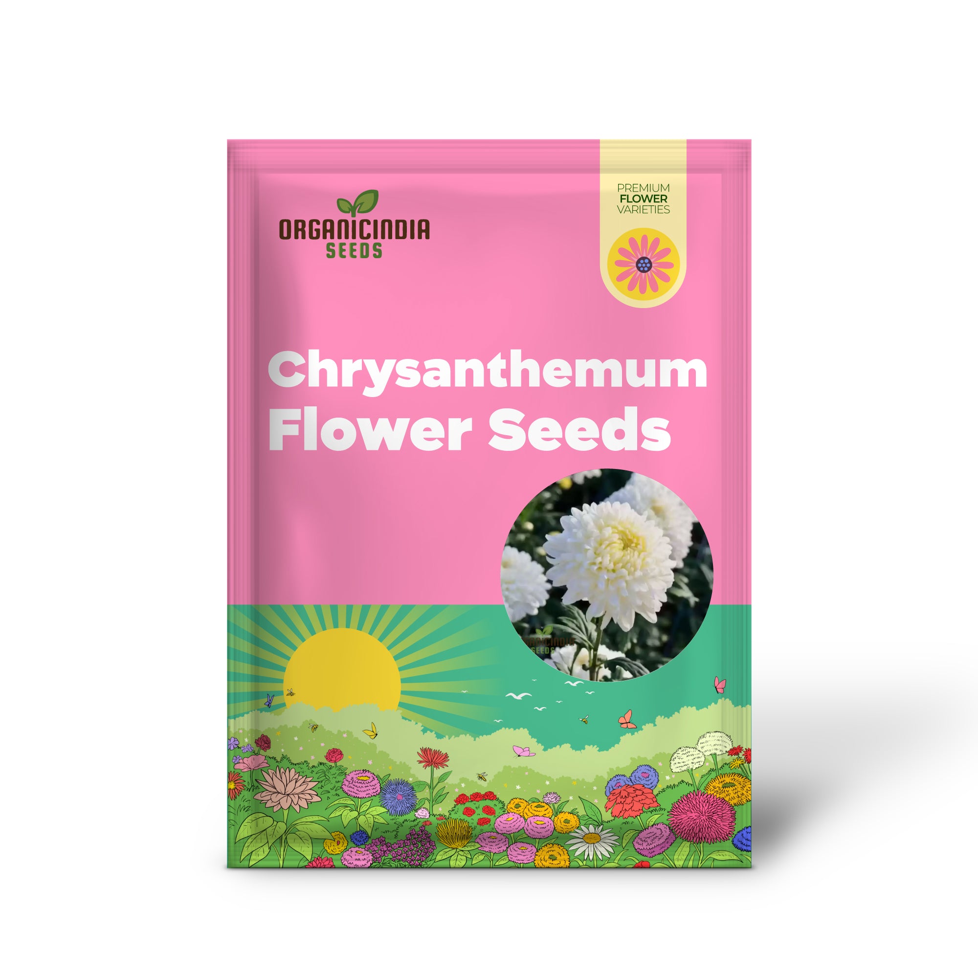 Weiße Chrysanthemen-Blumensamen für Gartenliebhaber – perfekt für Ihren blühenden Garten