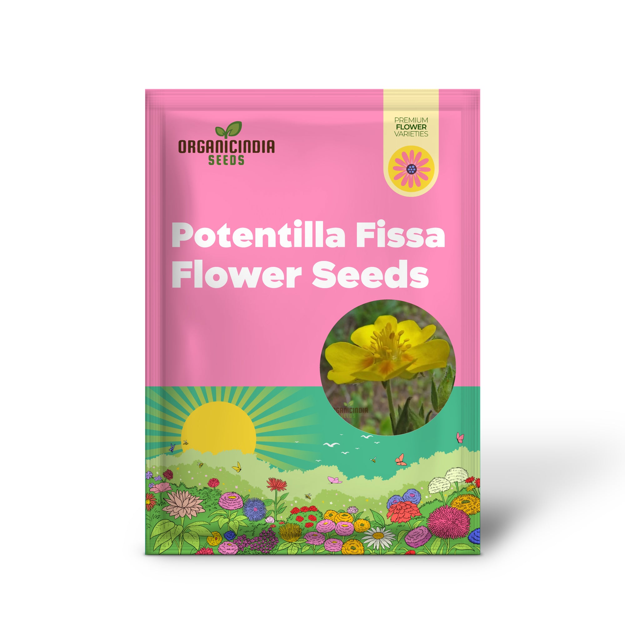 Potentilla Fissa Cinquefoil Plant Seeds - Perfect for Gardening Enthusiasts Seeking High-Quality Seeds for a Vibrant Garde