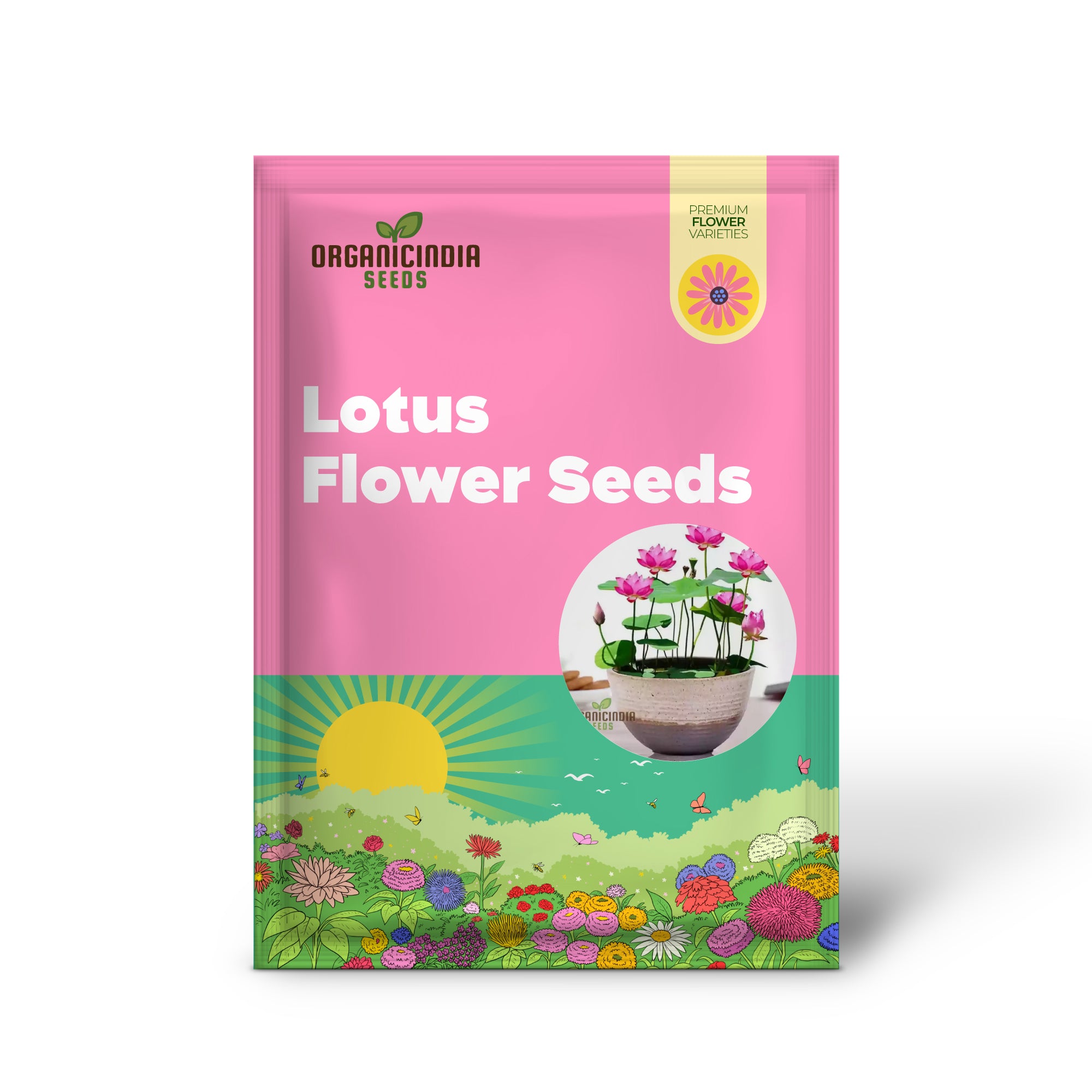 Premium Mix Colour Lotus Flower Seeds for Vibrant Gardening - Perfect for Home and Outdoor Gardens