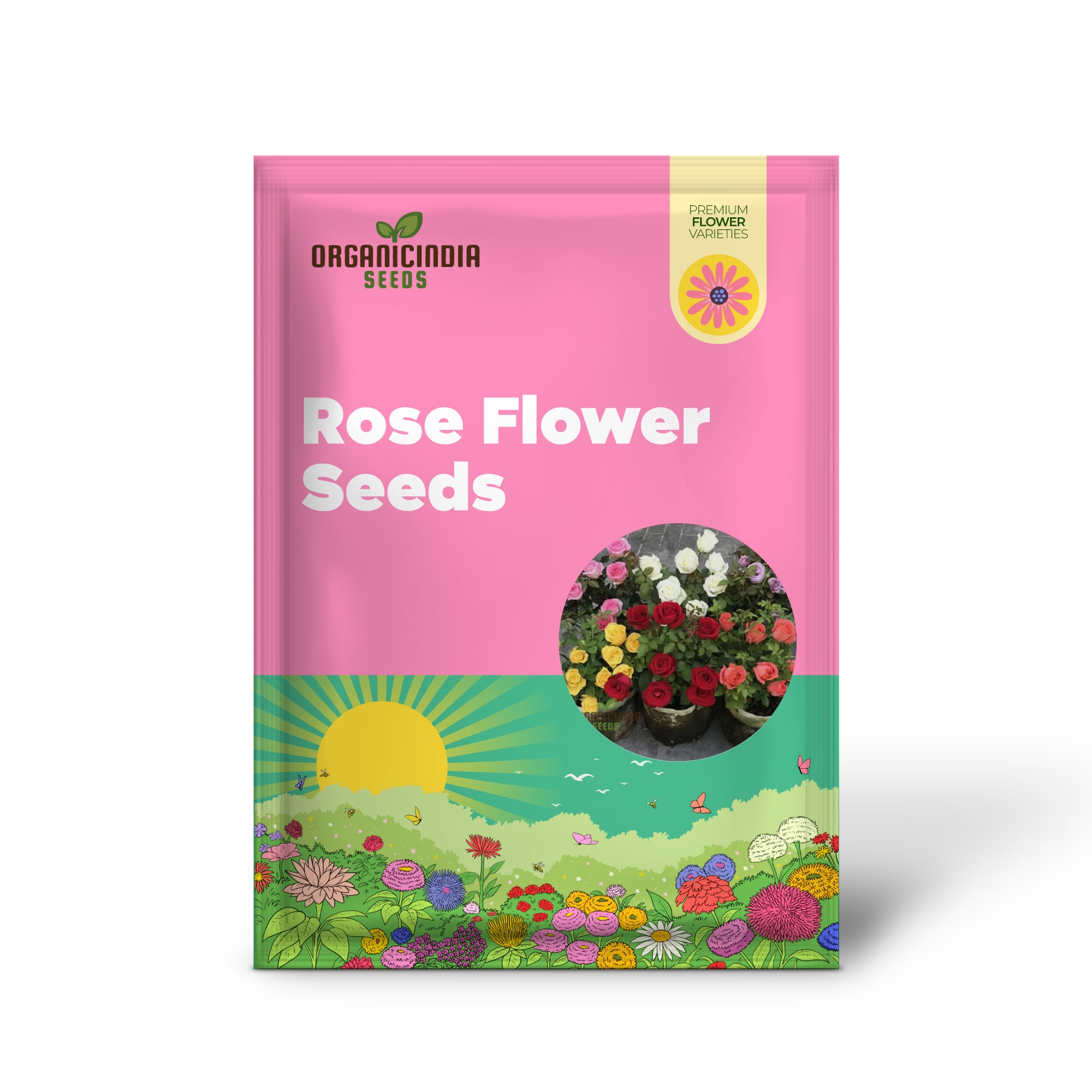 Hybrid All Season Mixed Rose Flower Seeds â€“ Elevate Your Gardening with a Spectacular Array of Blooms, Perfect for Every Season