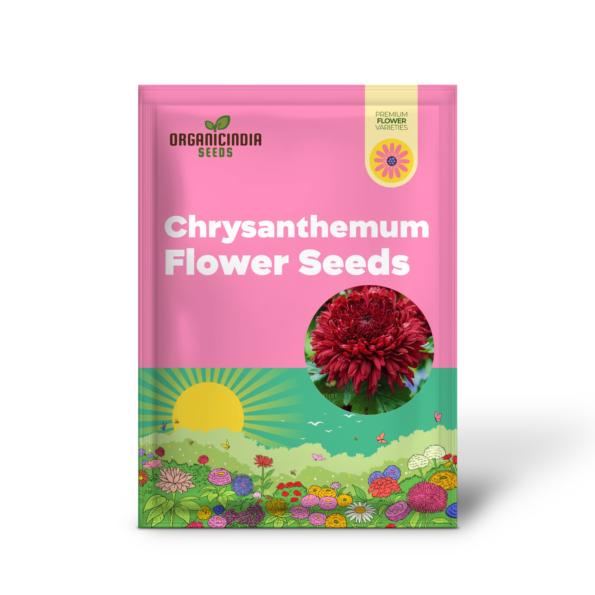 Dark Red Chrysanthemum Flower Seeds, Vibrant Blooms, Easy to Grow, Stunning Addition to Your Garden