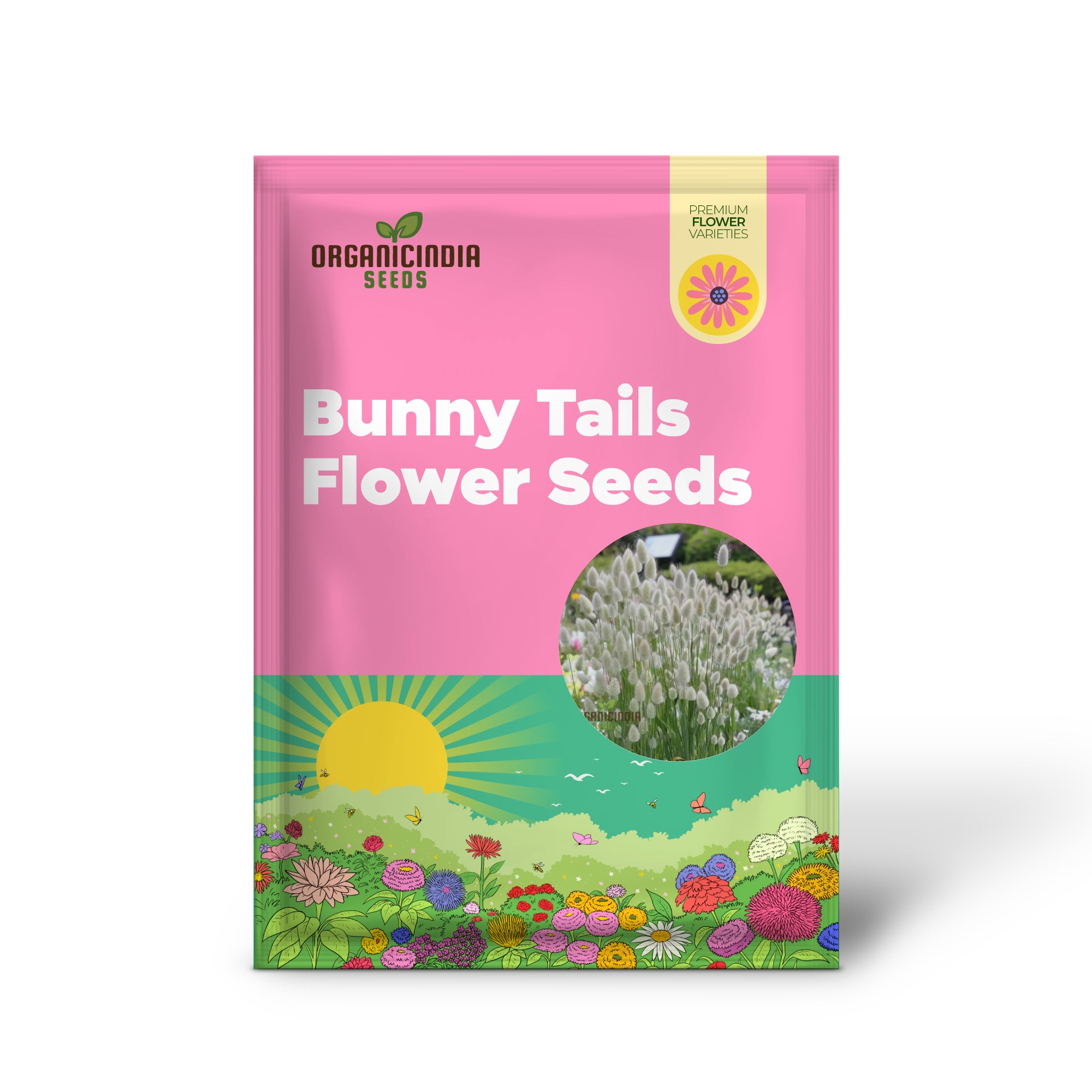 Charming Bunny Tails Flower Seeds, Enhance Your Garden with Delightful Blossoms, Perfect for Planting and Gardening Enthusiasts