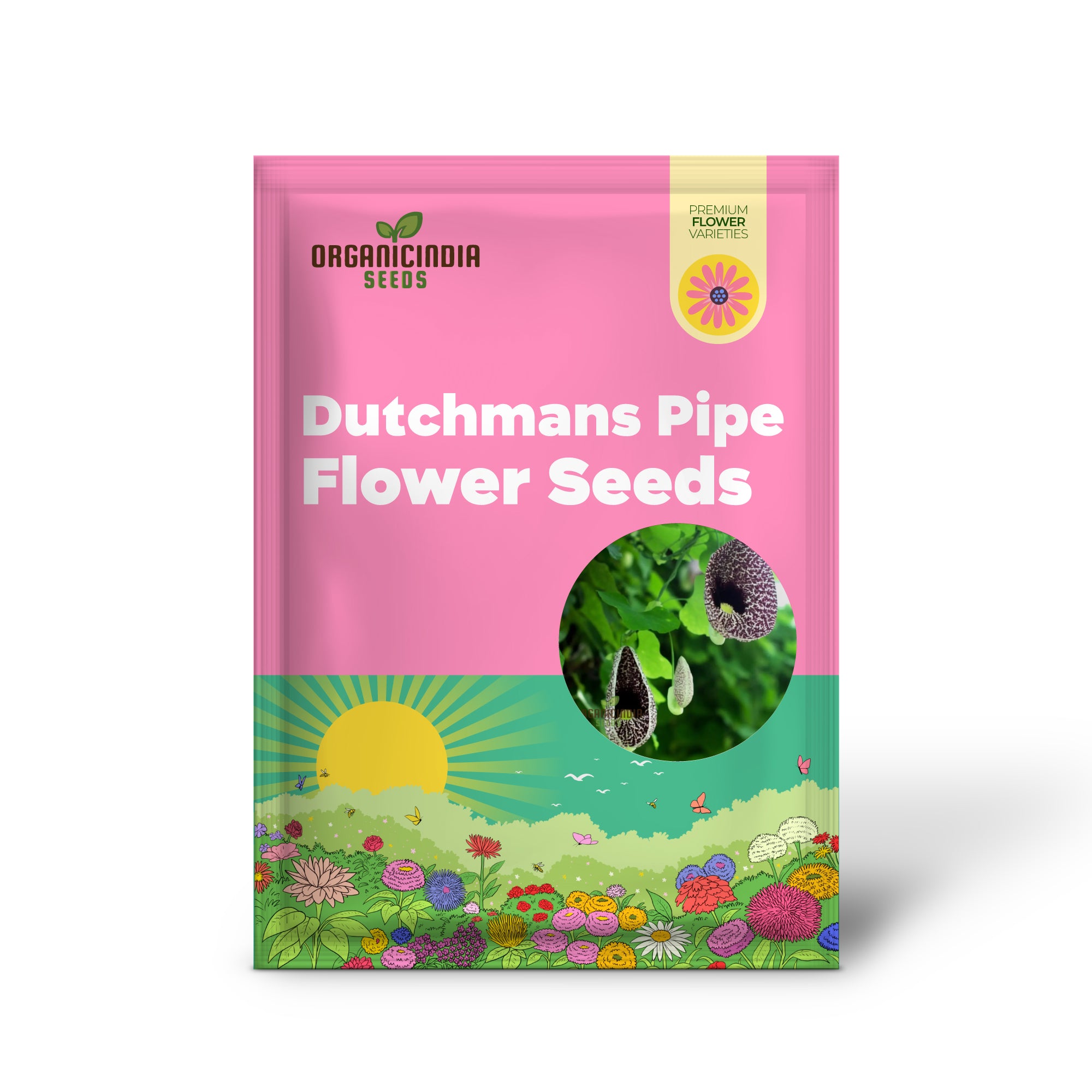 Climbing Dutchmans Pipe Flower Seeds - Perfect for Vertical Gardening, Beautiful and Unique Blossoms