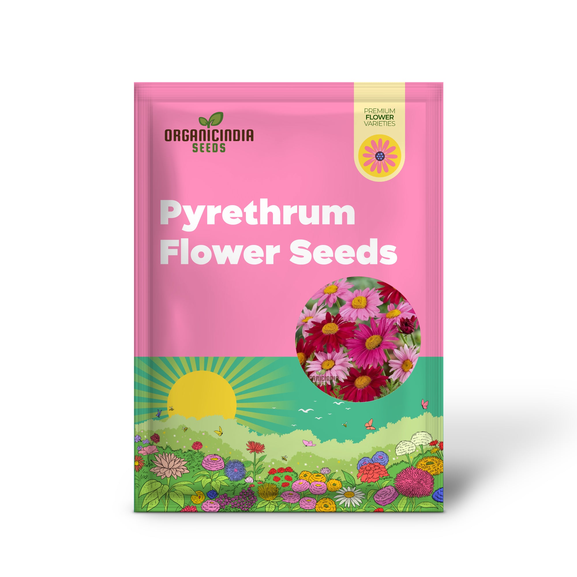 Hochwertige Pyrethrum-Blumensamen in gemischten Farben für lebendige und vielseitige Gärten – ideal für Gartenliebhaber und Landschaftsarchitekten.