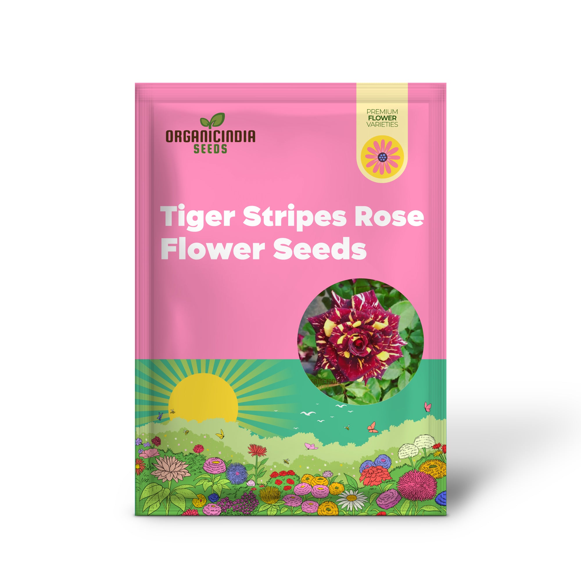 Premium Tiger Stripes Rose Flower Seeds for Lush, Vibrant Gardens, Unique Striped Rose Seeds for Home Gardeners