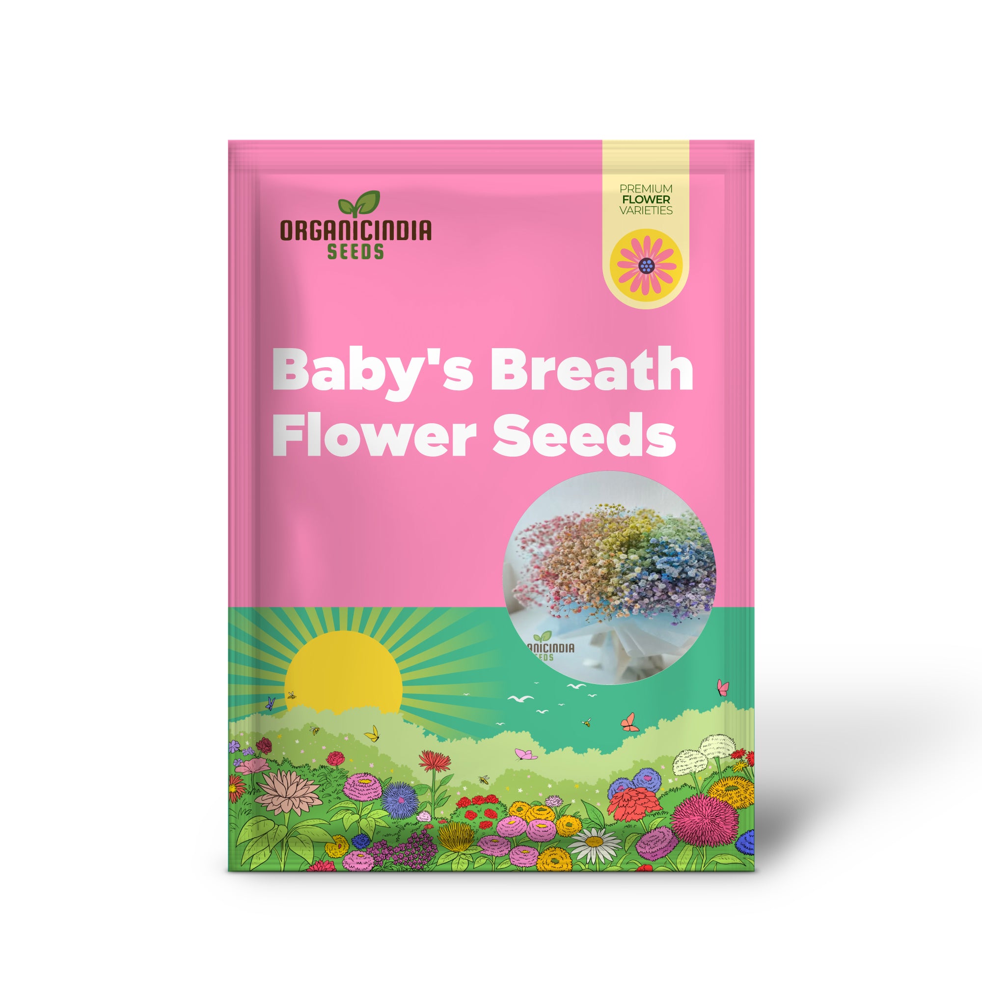 Mixed Baby's Breath Imported Flower Seeds , Elevate Your Gardening with an Abundance of Graceful, Ethereal Blooms!