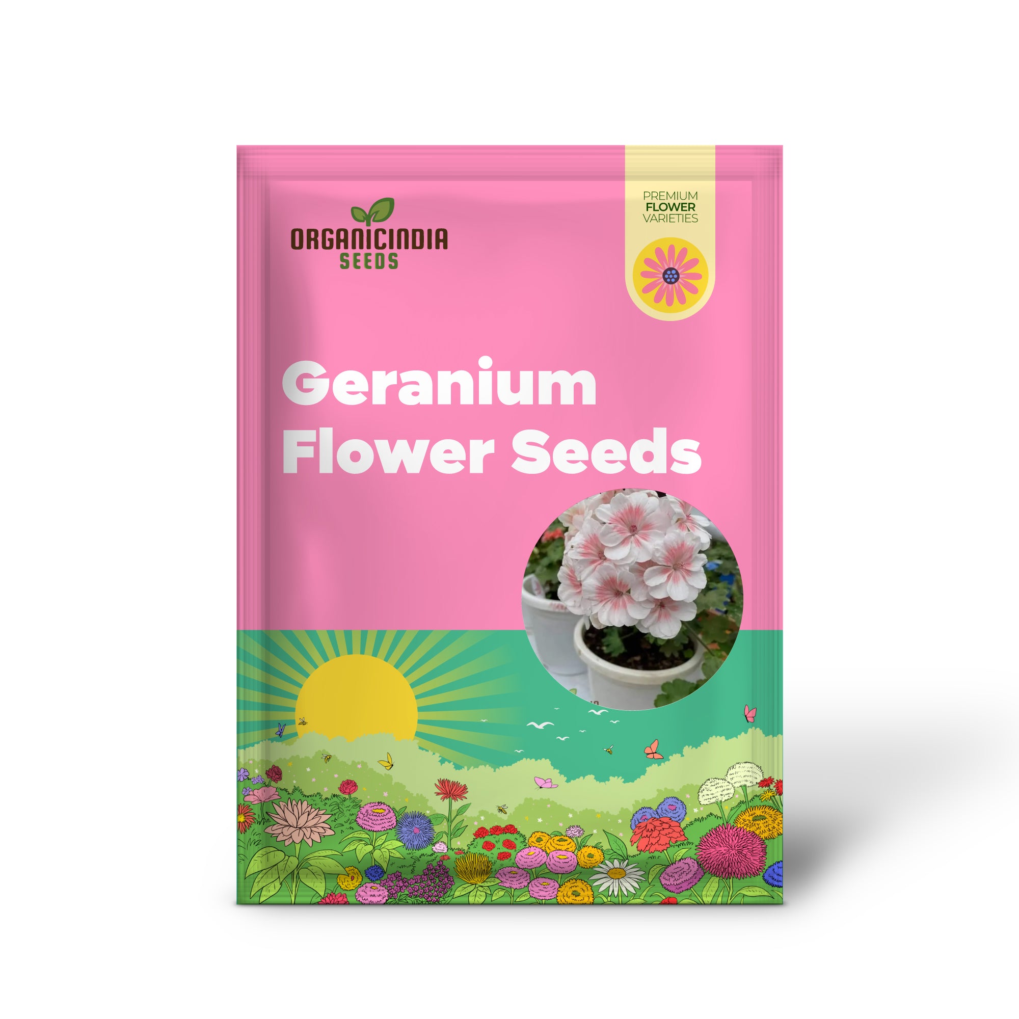 Premium Geranium Imported Flower Seeds | White with Peach Blooming Colors | High-Quality Flowering Seeds for Gardening Enthusiasts