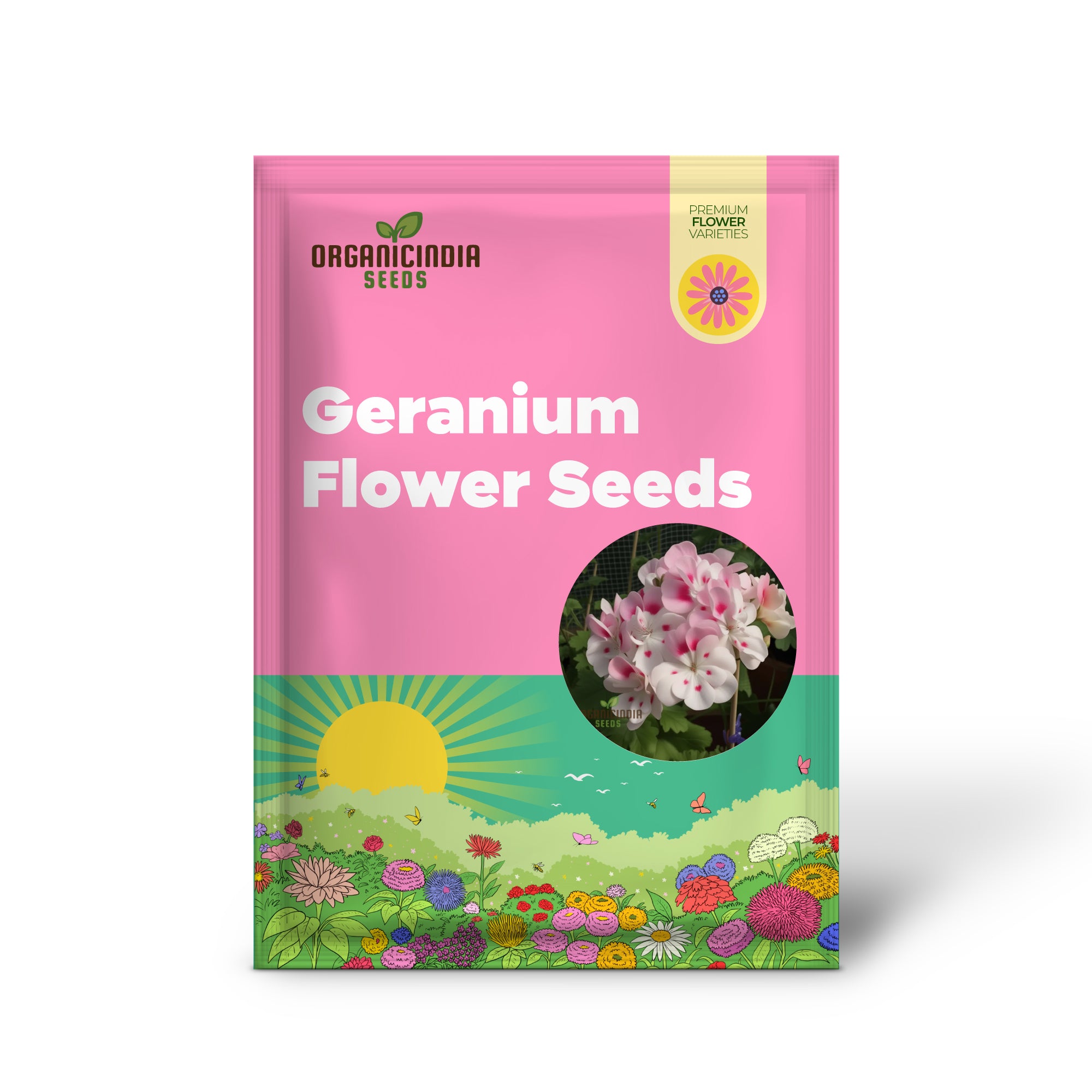 Geranium Flower Seeds for Planting- White Blooms with Pink Accents for Stunning Garden Planting and Gardening