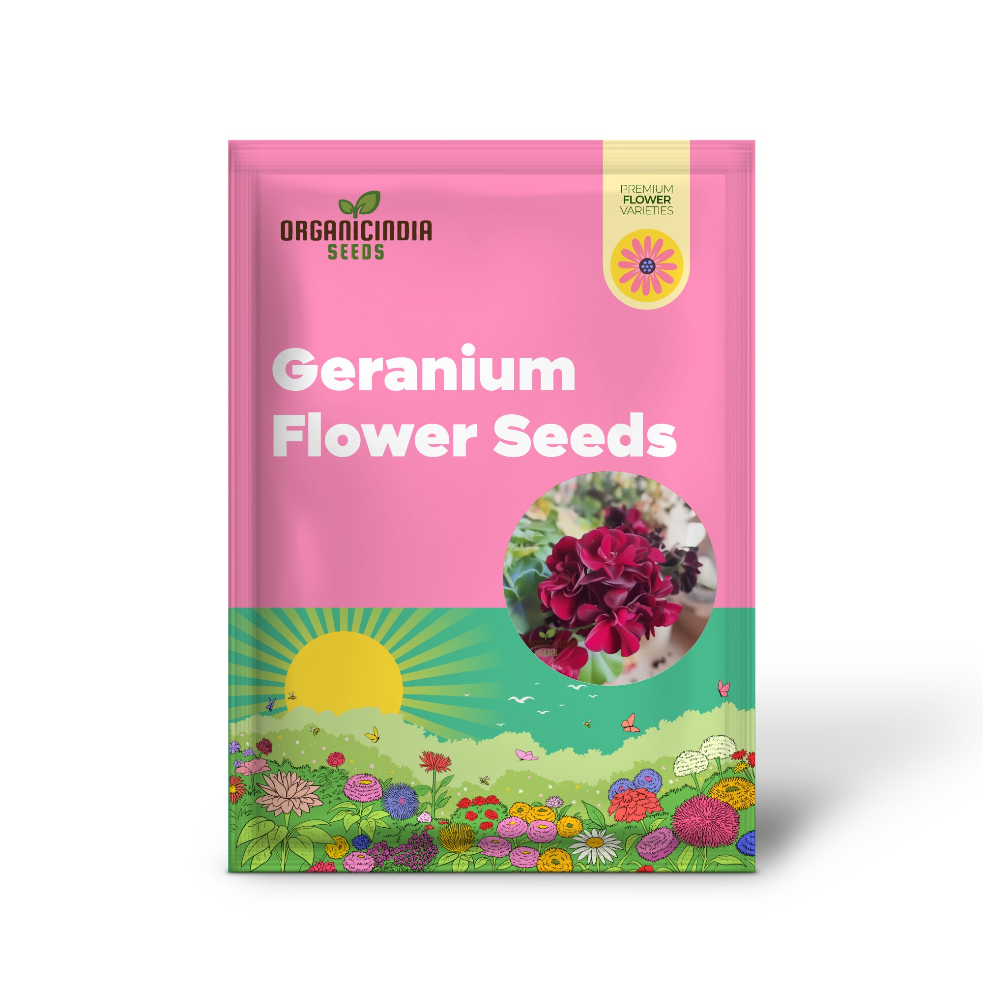 Maroon Geranium Flower Seeds, Enhance Your Garden with Rich Color and Thriving Growth