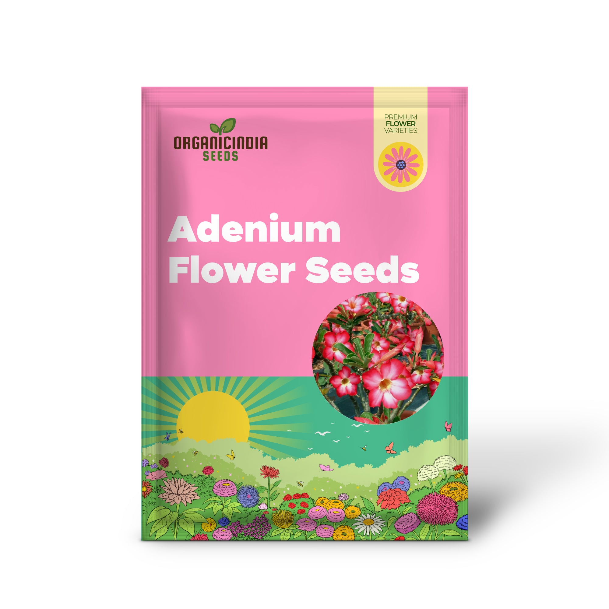 Adenium Imported Flower Seeds for Gardening Enthusiasts | Perfect for Lengthy Blooming Seasons