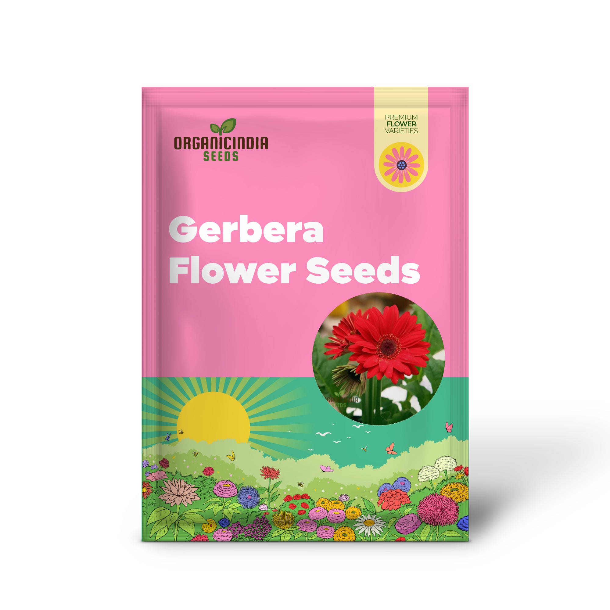 Red Gerbera Flower Seeds - Vibrant Blooms for Stunning Garden Planting and Gardening