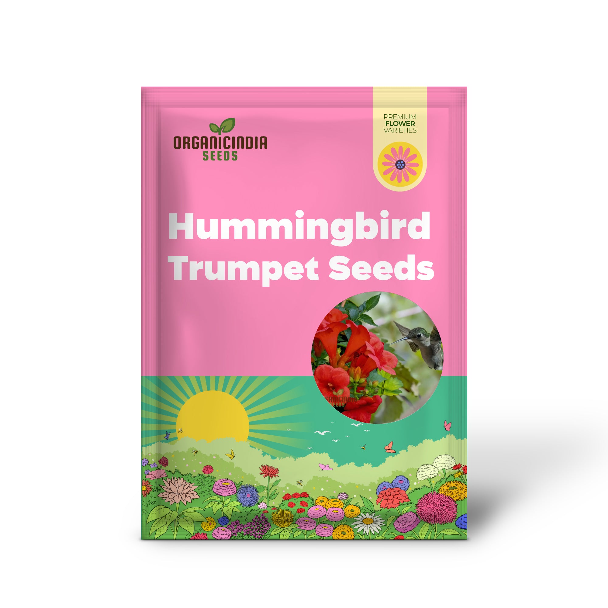 Dark Red Hummingbird Trumpet Vine Seeds - Attract Hummingbirds with Dramatic Blooms