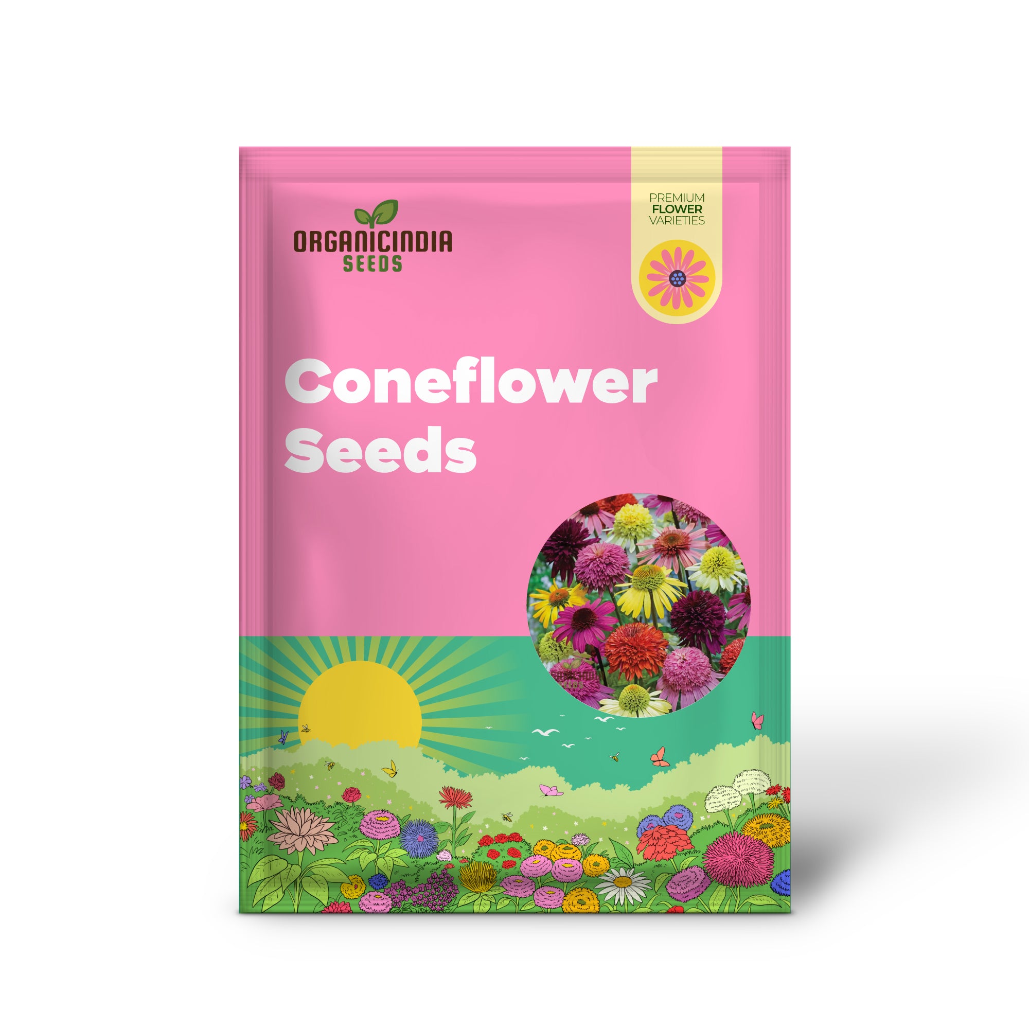 Mixed Coneflower Seeds for Planting, A Comprehensive Guide to Gardening with Echinacea for a Vibrant and Healthy Garden