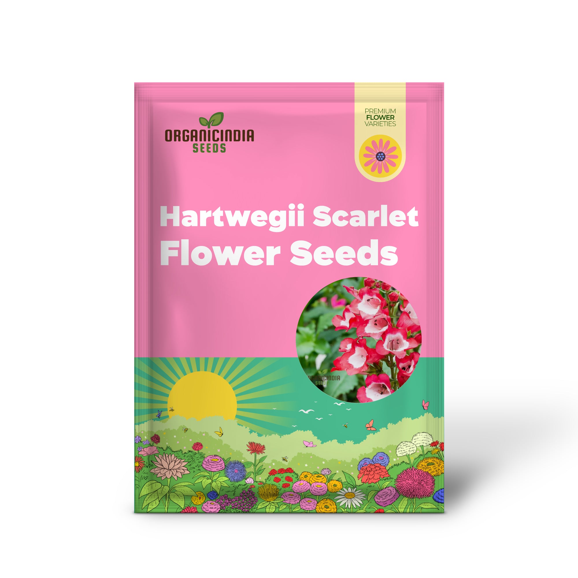 Hartwegii Scarlet Queen Flower Seed for Planting, Penstemon Hartwegii Seeds, Red Herb Flower Seed - Non-GMO Heirloom Flower Seeds