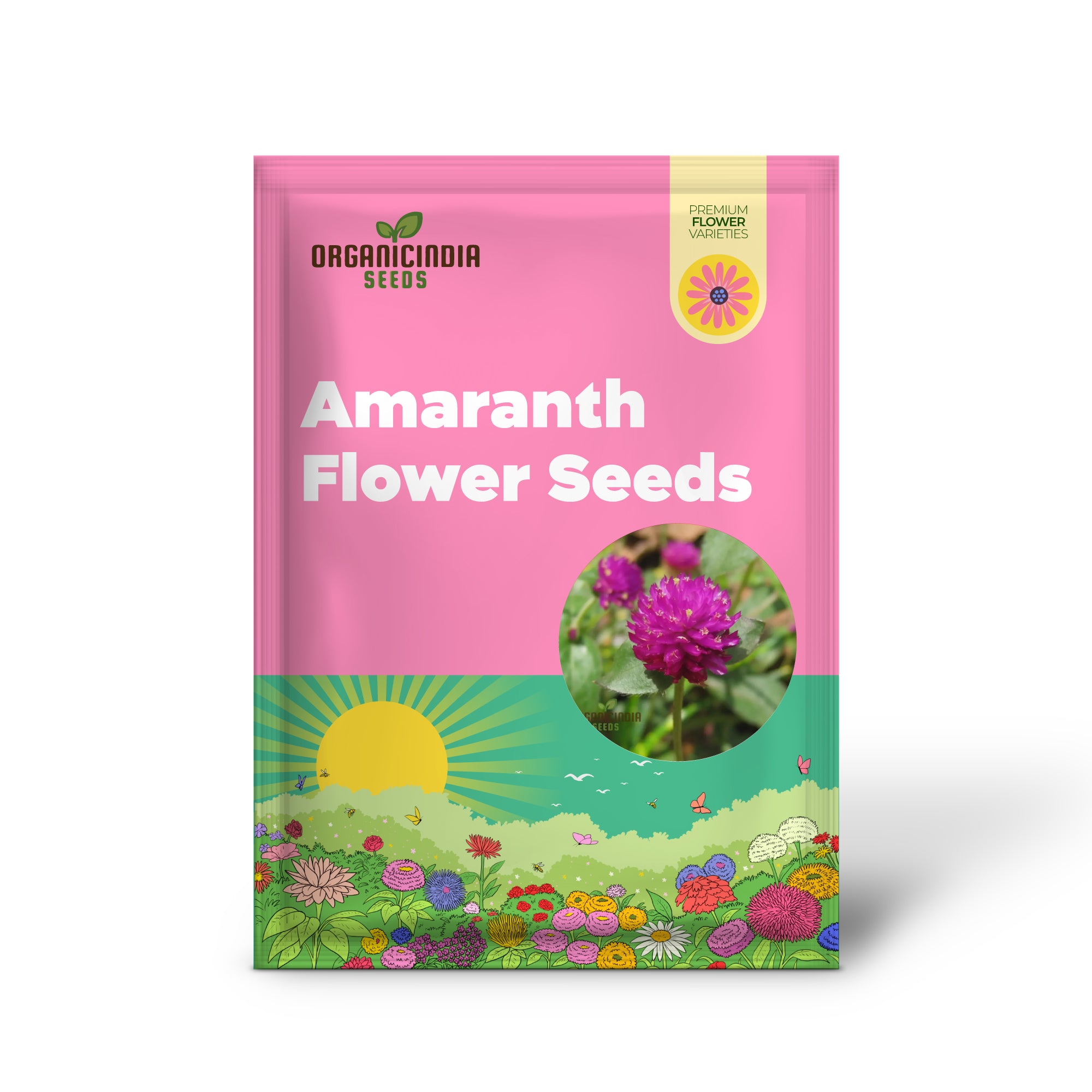 Globe Amaranth Flower Seeds for Planting,Vibrant and Lush Garden