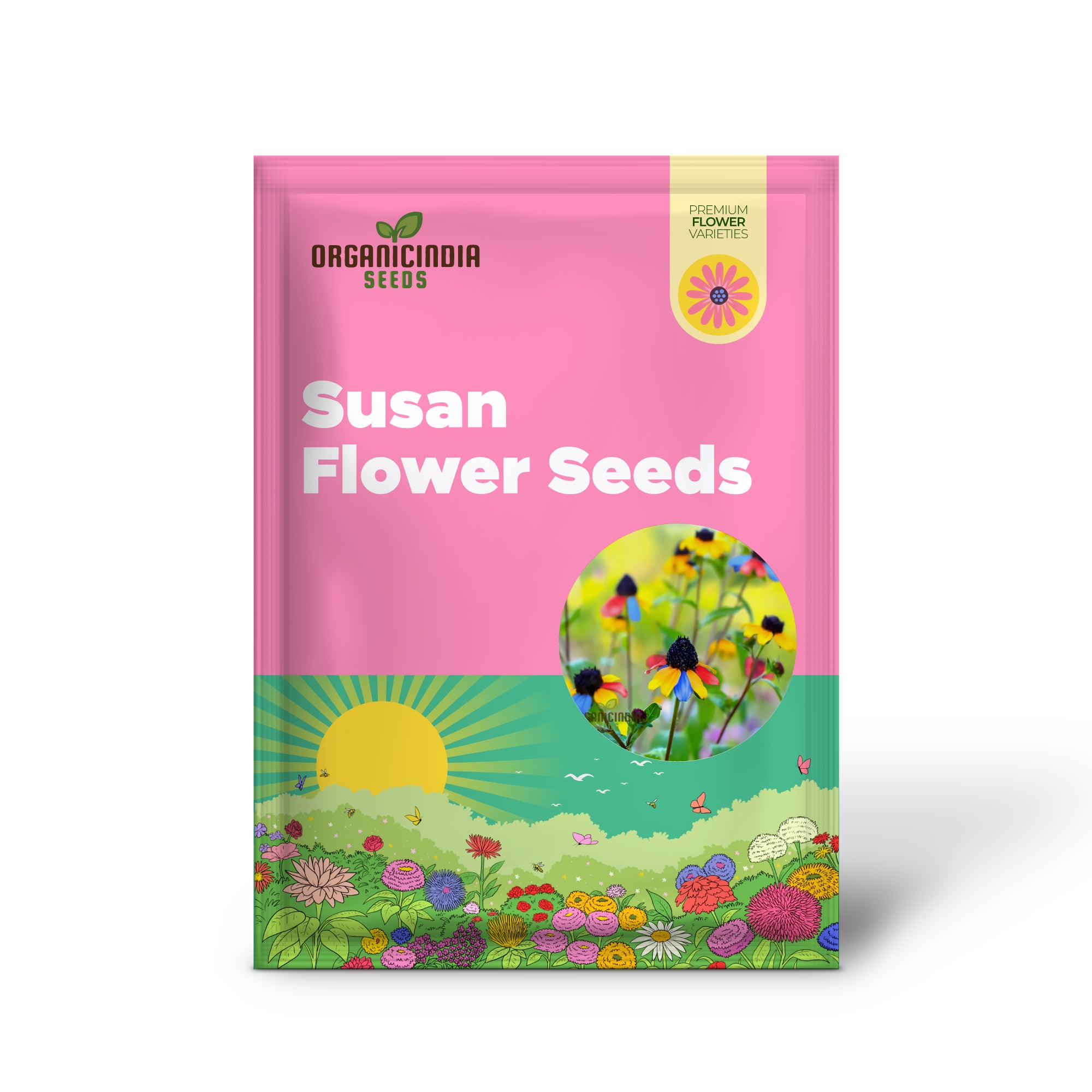 Multicolored Susan Flower Seeds for planting- Vibrant Blooms for Butterfly-Friendly Gardens