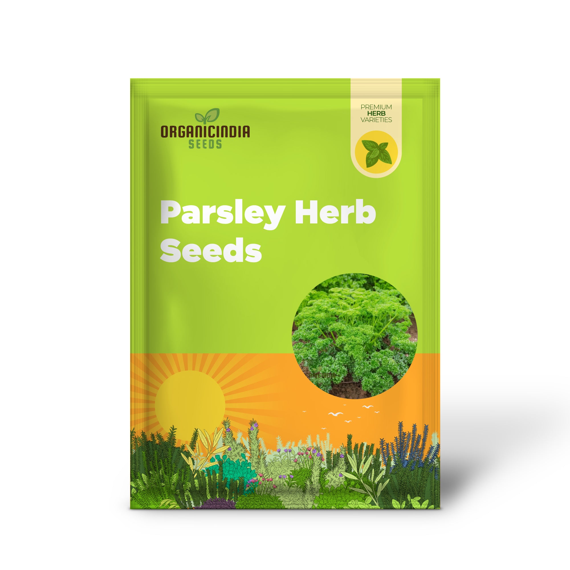 Growing Fresh Flavors, A Complete Guide to Planting and Gardening with Green Parsley Herb Seeds