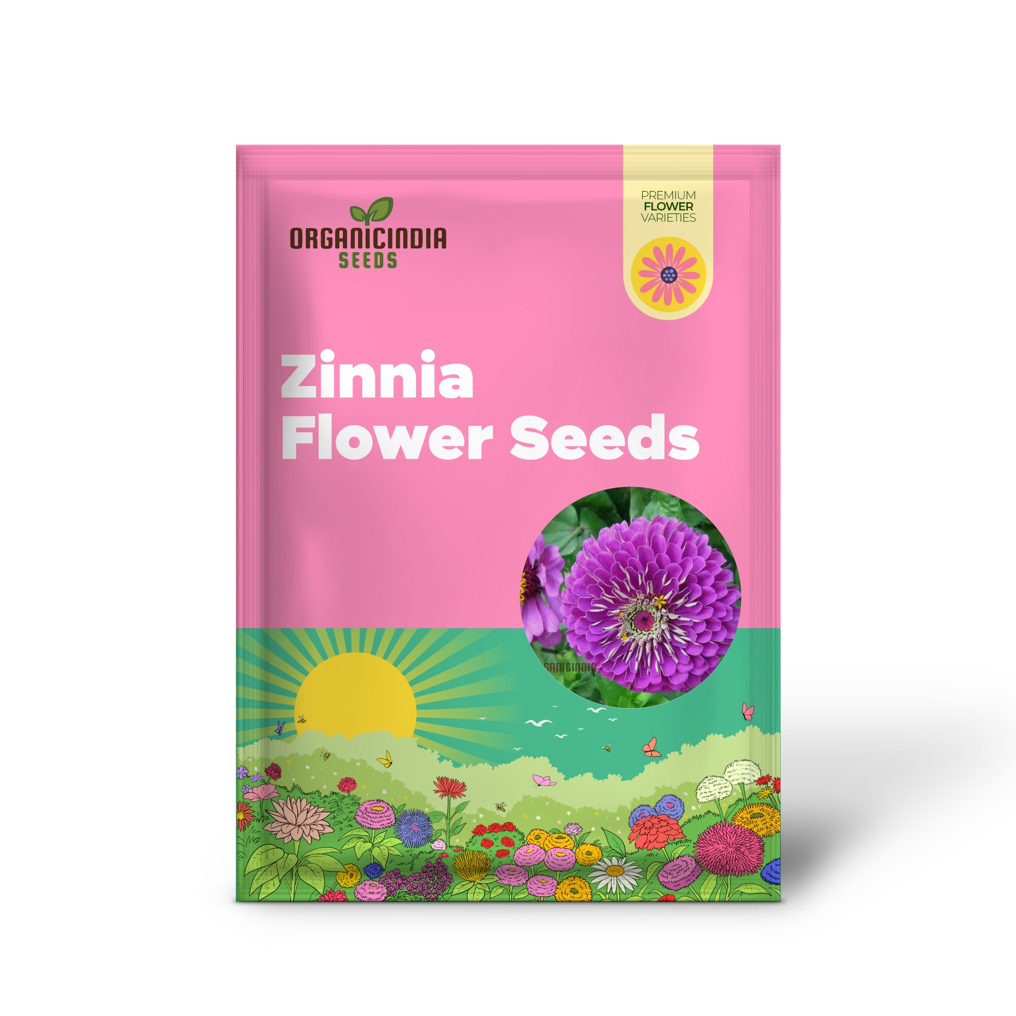 Graines de fleurs violettes Zinnia Elegans - Fleurs vibrantes et faciles à cultiver pour un jardin époustouflant